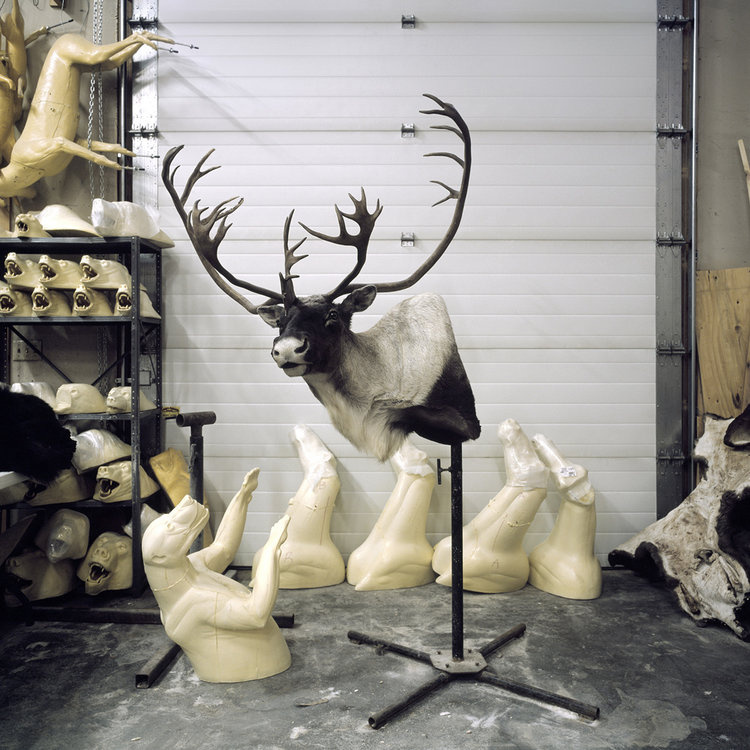 The Edge of Knowing by Magda Biernat, documentary, landscape