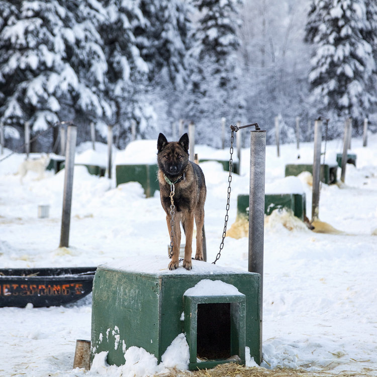 The Edge of Knowing by Magda Biernat, documentary, landscape