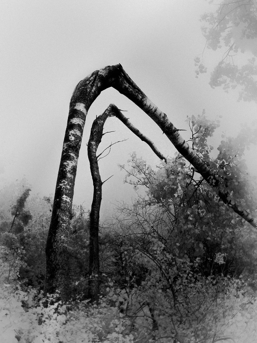 You can't enter the same river twice by Francisco Gonzalez Camacho, landscape photography, impermanence, nature transformation