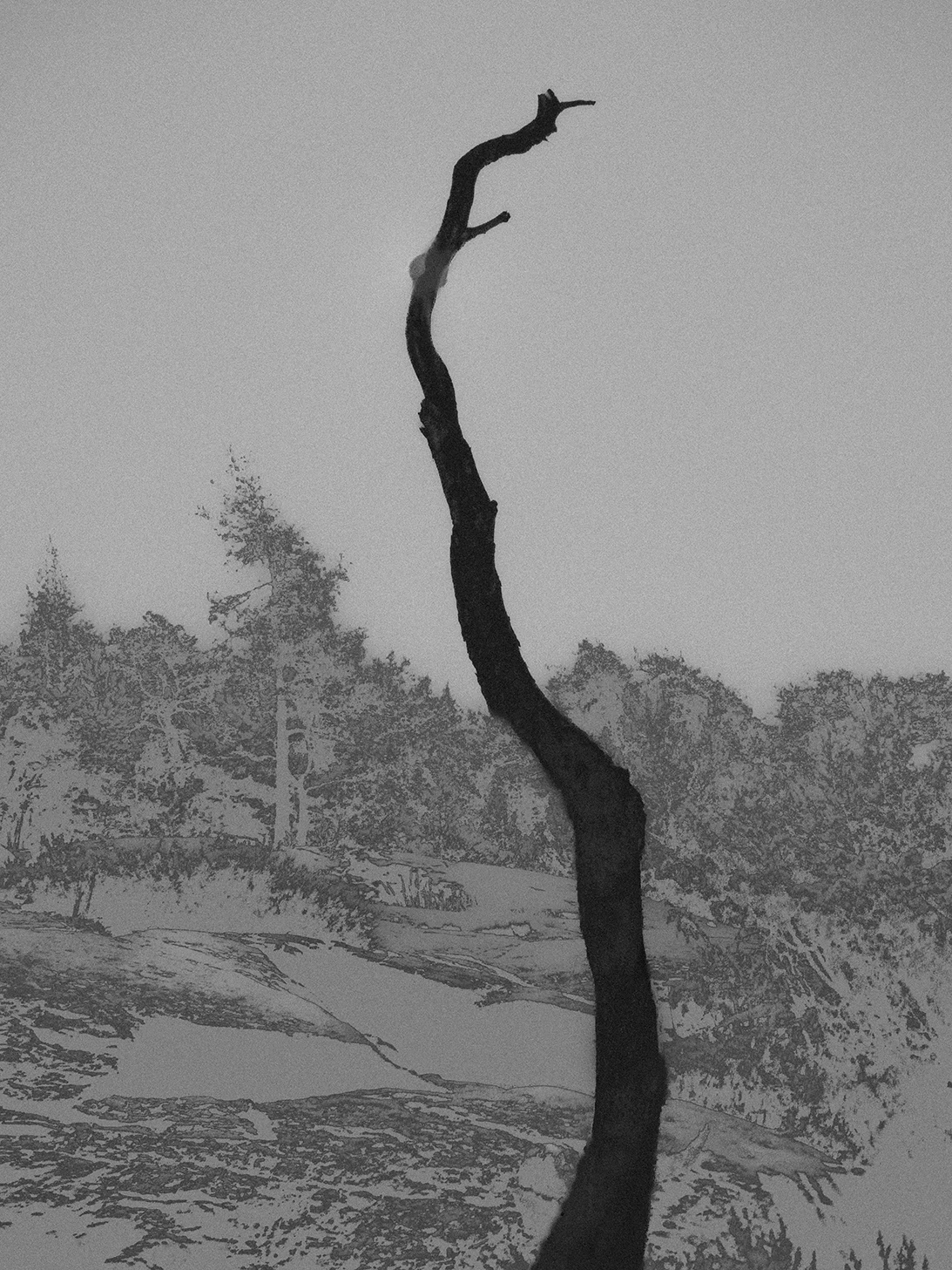 You can't enter the same river twice by Francisco Gonzalez Camacho, landscape photography, impermanence, nature transformation