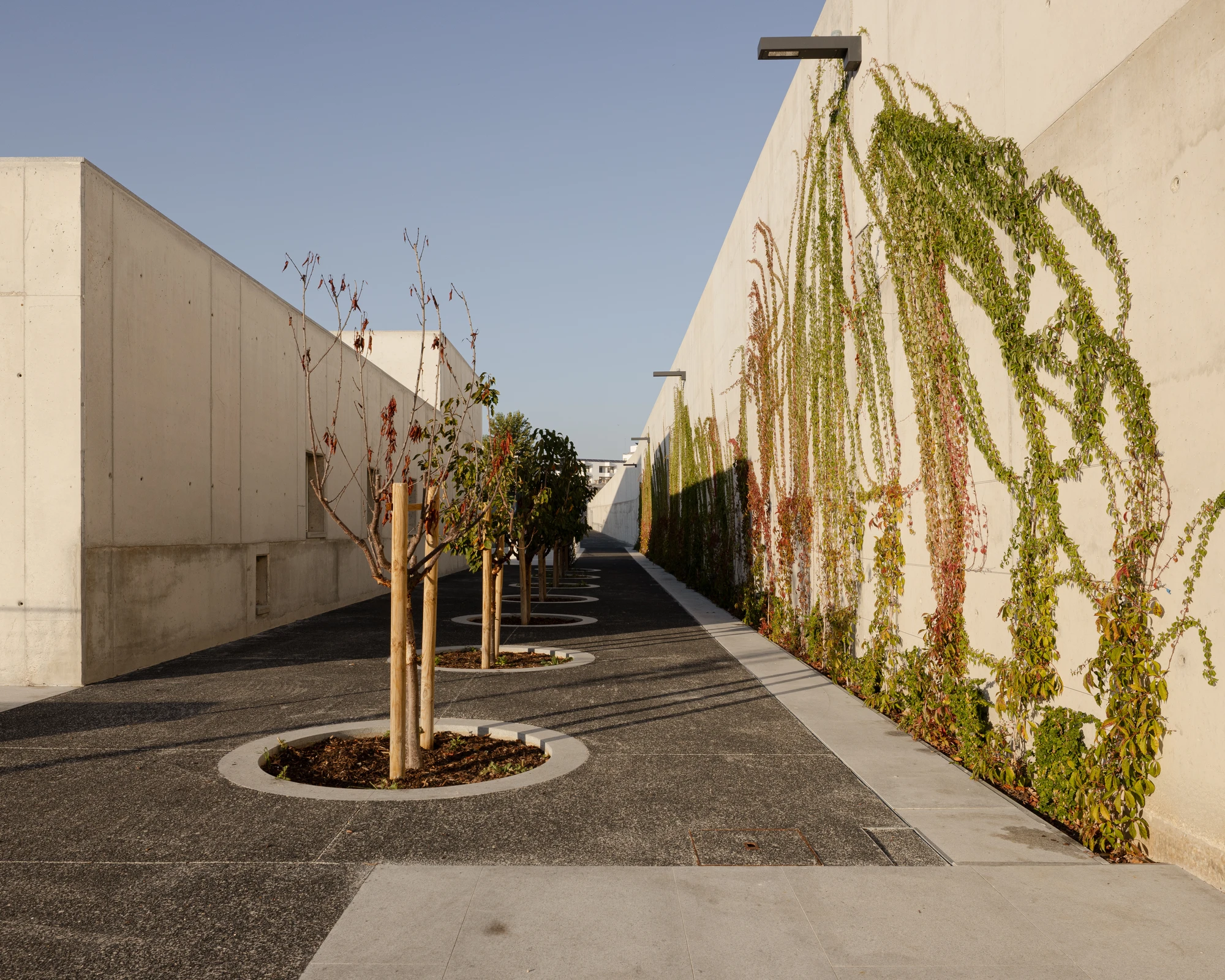 Da Boavista Church by Matos Gameiro arquitectos + atelier bugio — A narrow passage between rendered concrete walls creates a linear courtyard space.