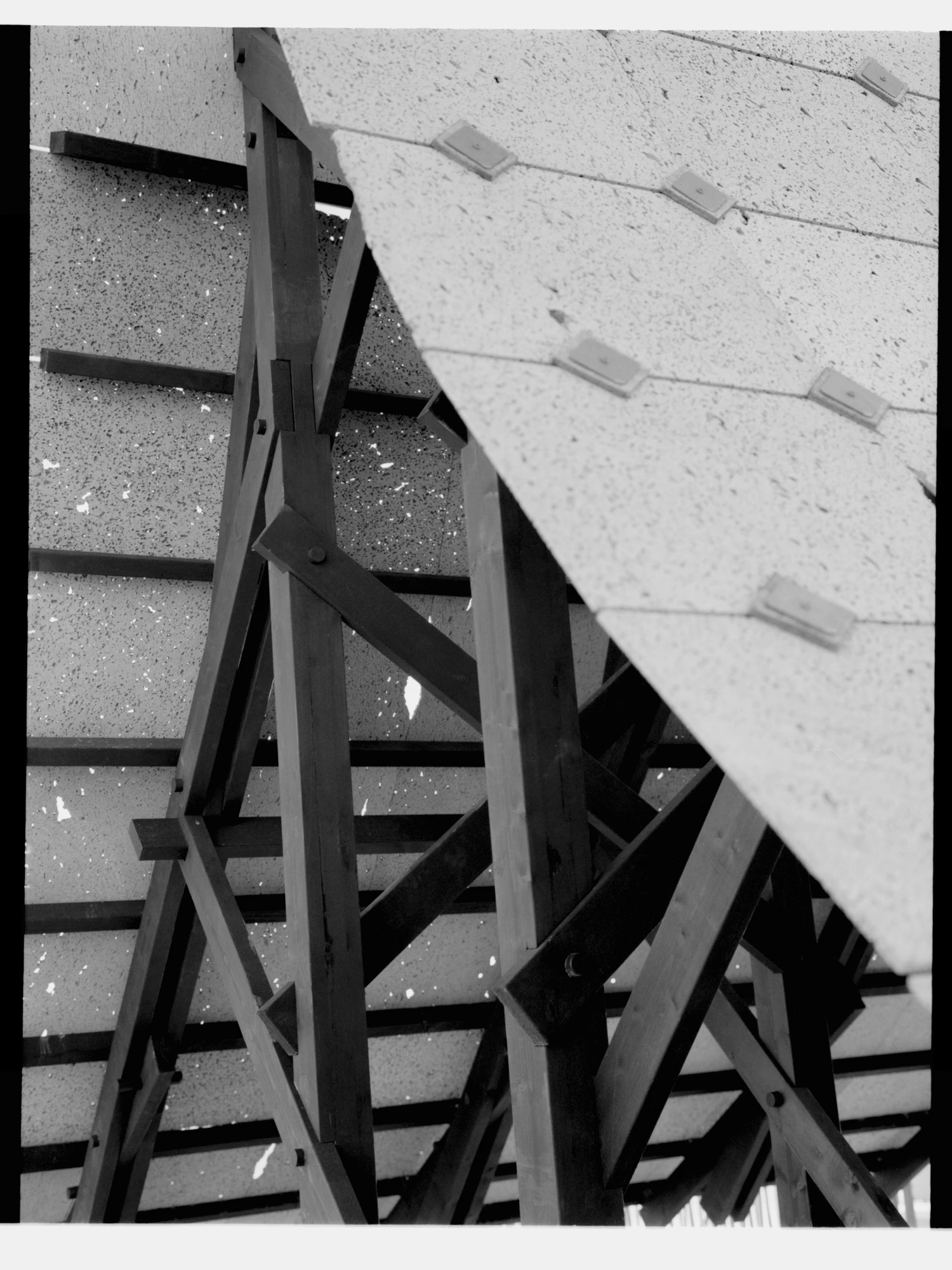Pantalica Speculations by Leopold Banchini — A low-angle view of the timber A-frame structure reveals the charred post-and-beam construction system in stark detail.