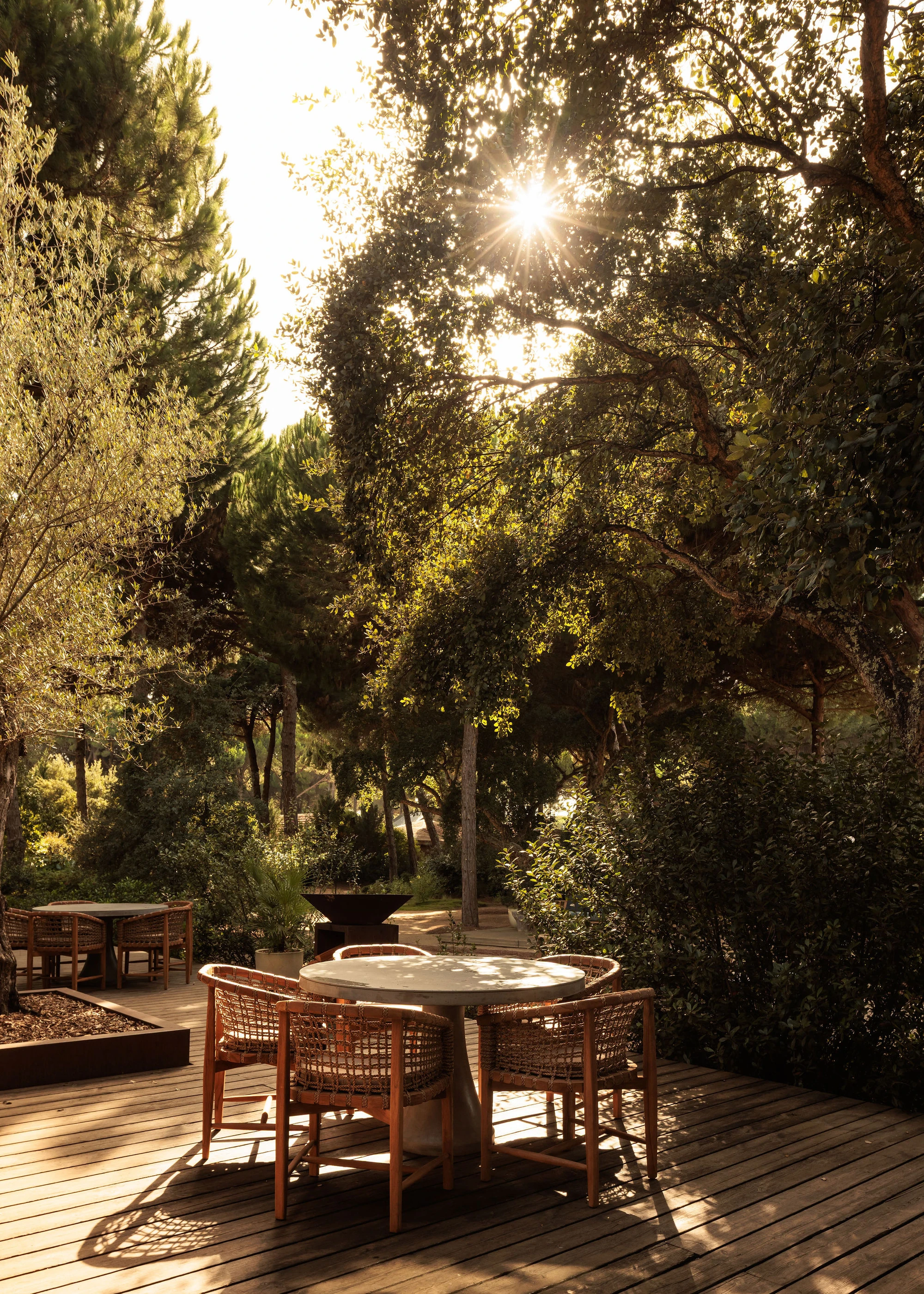Sublime Comporta — Timber dining furniture arranged on a wooden boardwalk beneath mature pine canopy, sunlight streaming through foliage in dappled patterns.