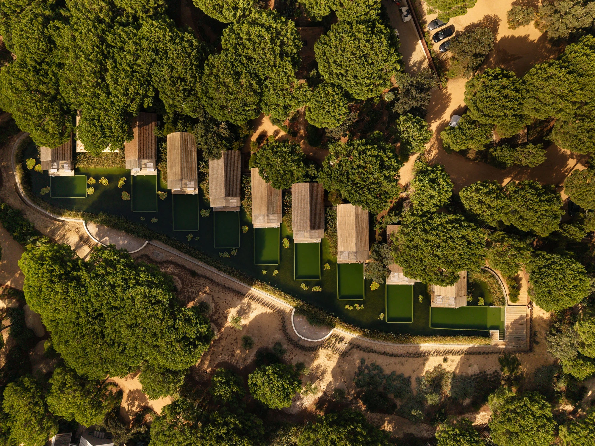 Sublime Comporta — Aerial view of a linear residential development carved into dense pine forest, revealing a sequence of timber-clad pavilions with pitched roofs arranged in...