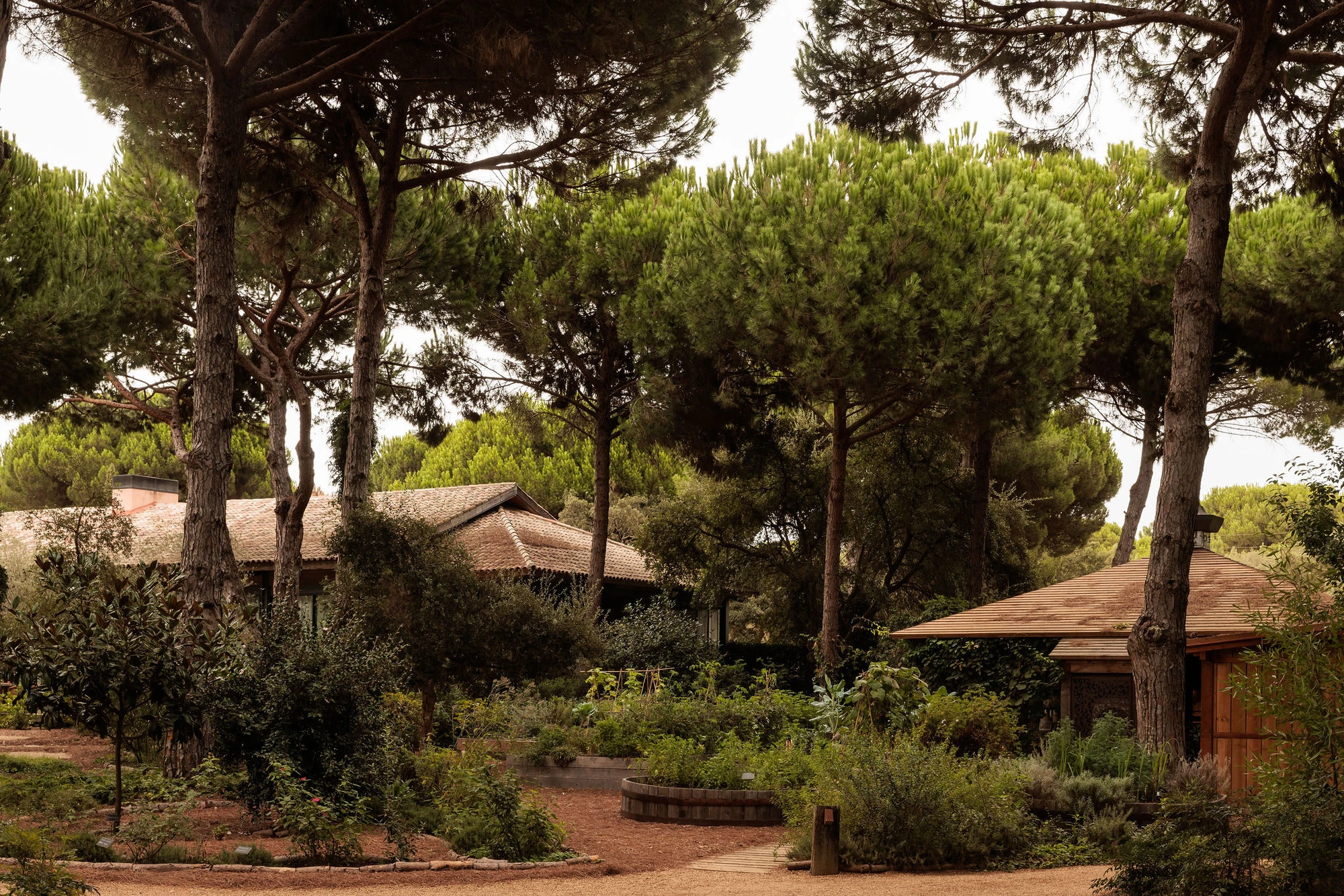 Sublime Comporta — Timber-clad pavilion nestled within mature pine forest, its pitched roof and deep overhangs sheltering glazed facades from dappled canopy light.
