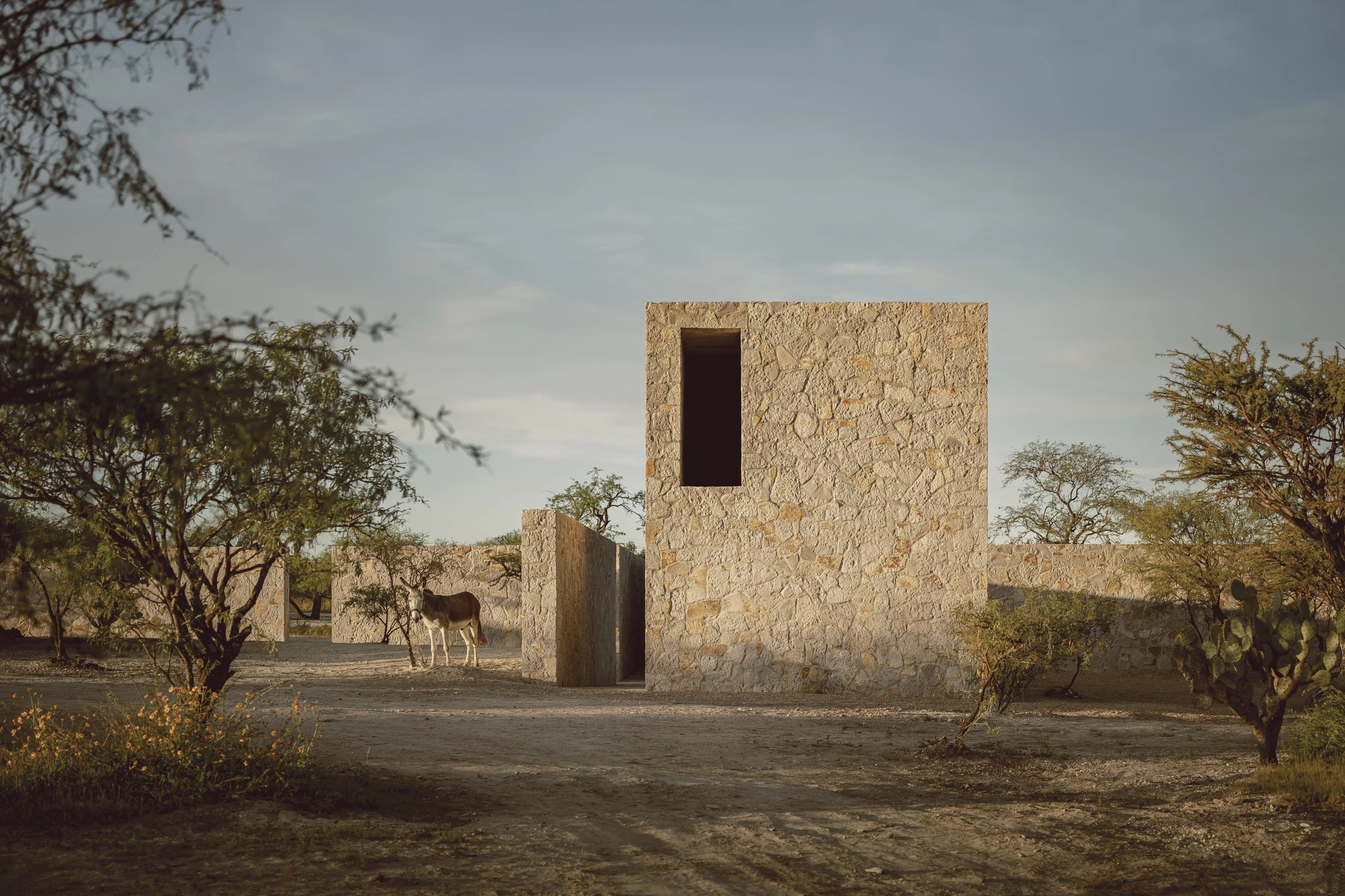 Enso House II by HW Studio — HW Studio's cruciform residence materializes as a monolithic stone volume in the mesquite-scattered landscape of San Miguel de Allende.