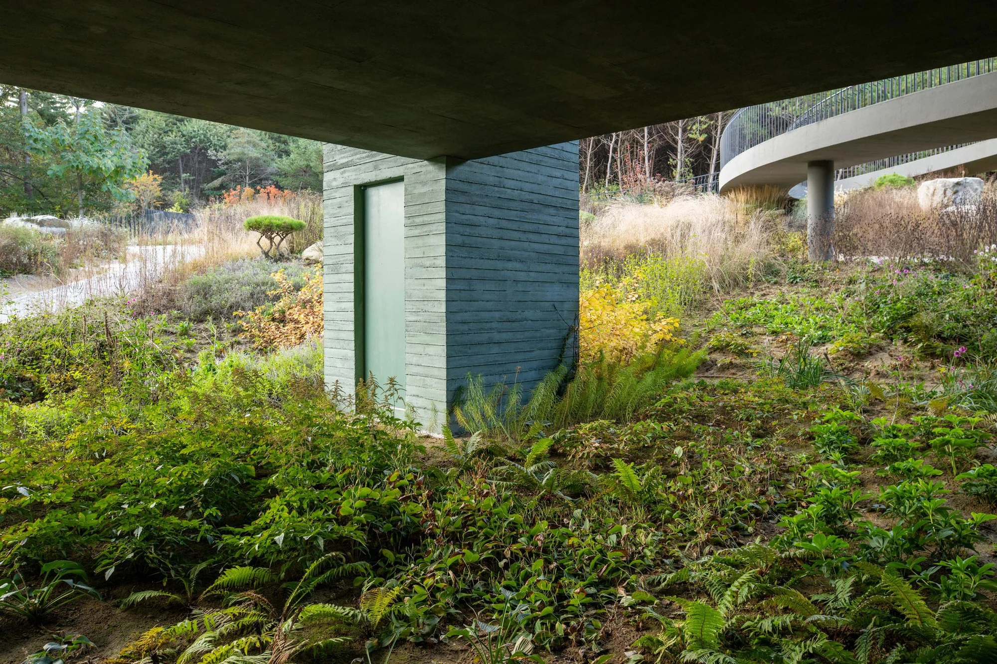 REST Garden Restaurant by Pezo von Ellrichshausen — Beneath a cantilevered concrete platform, nine rectangular columns rise in strict grid formation, their soft sage-green surfaces marked by dark vertical...