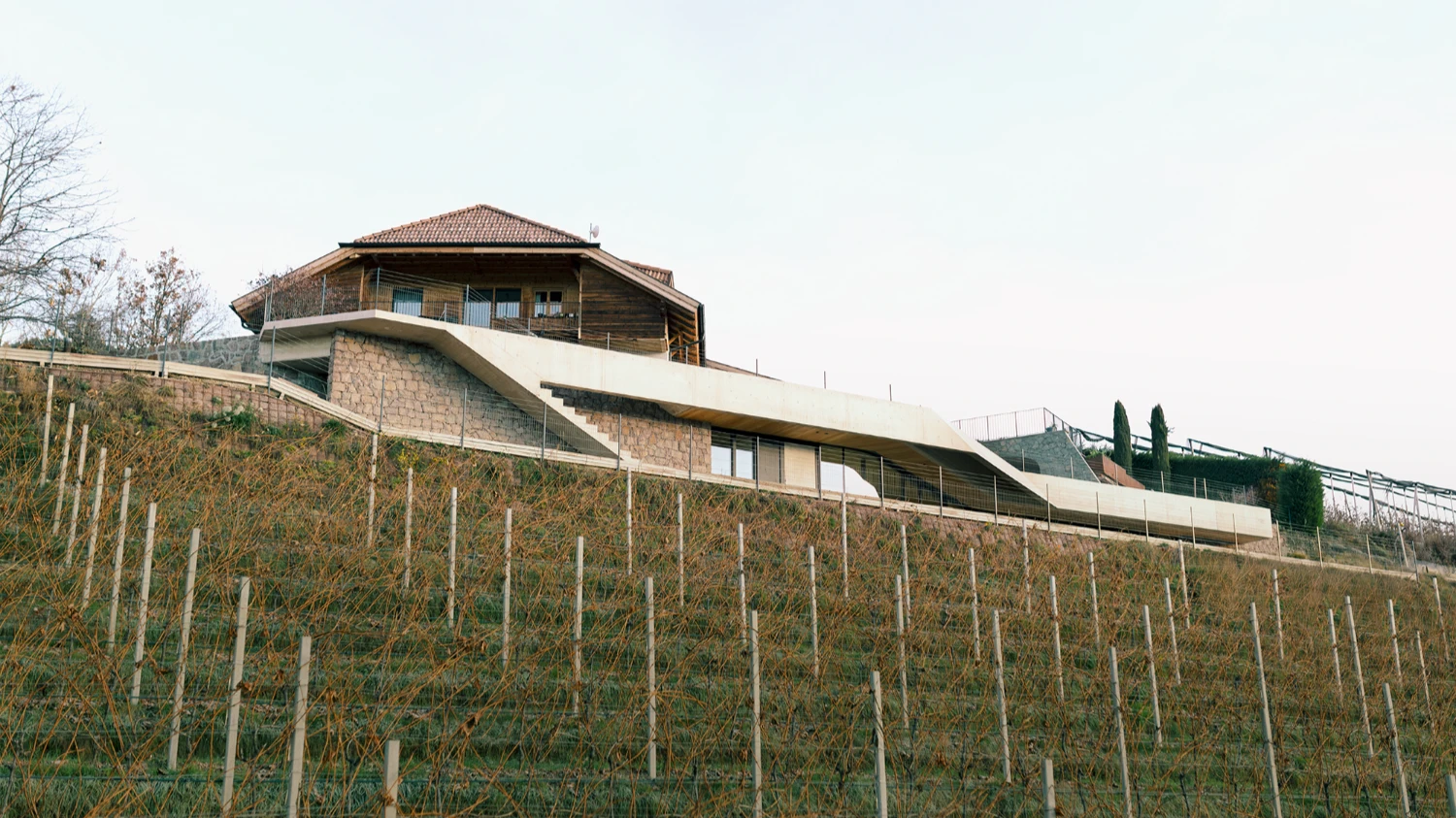 Casa Conte by Messner Architects — Casa Conte's expansion reveals itself through a dramatic concrete cantilever that extends horizontally across the vineyard slope, its flat plane contrasting...