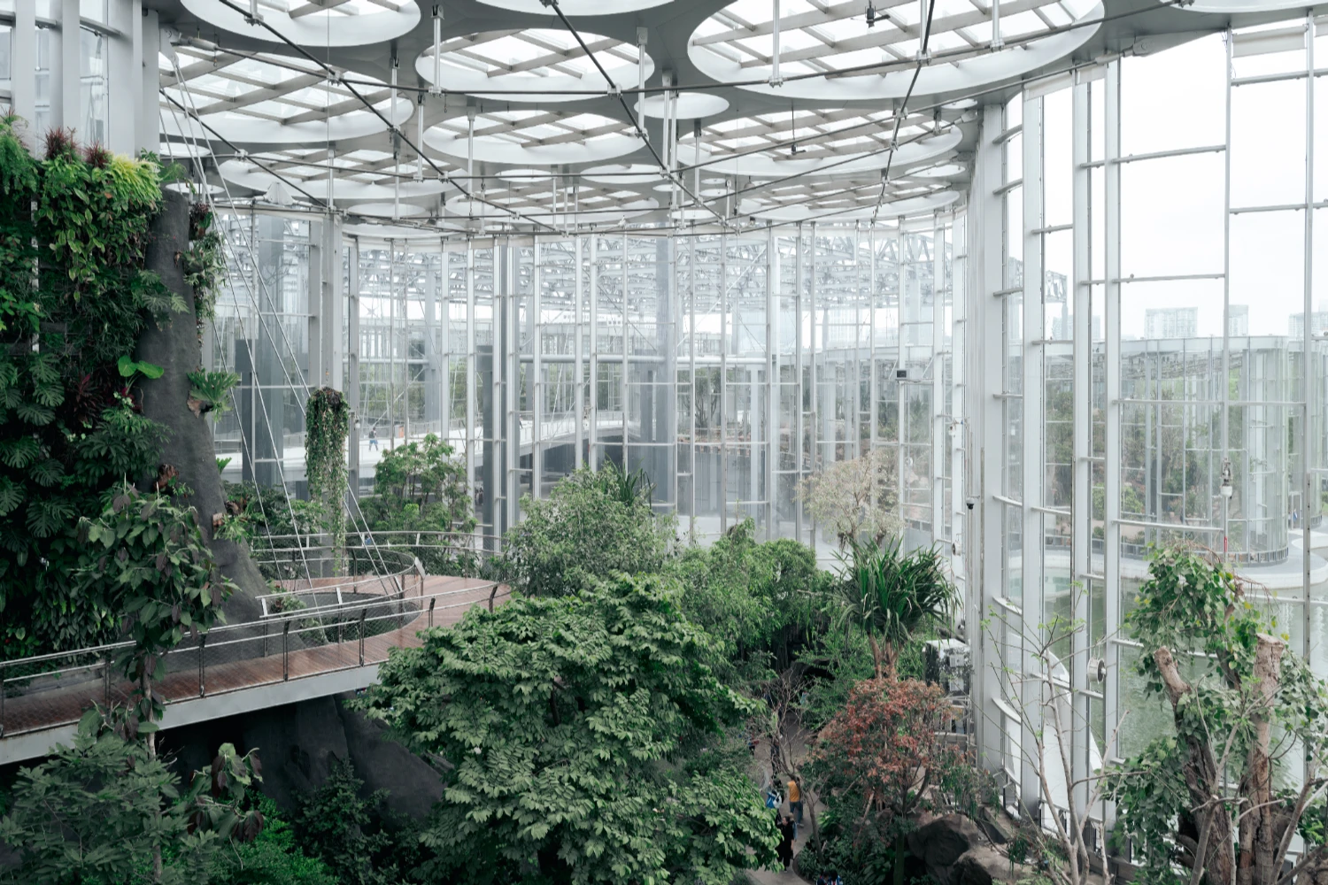 Expo Cultural Park Greenhouse Garden by Delugan Meissl captured by Marcus Yau — Within the gridded envelope of steel and glass, a dense botanical composition occupies the foreground: mature trees with substantial canopies create...