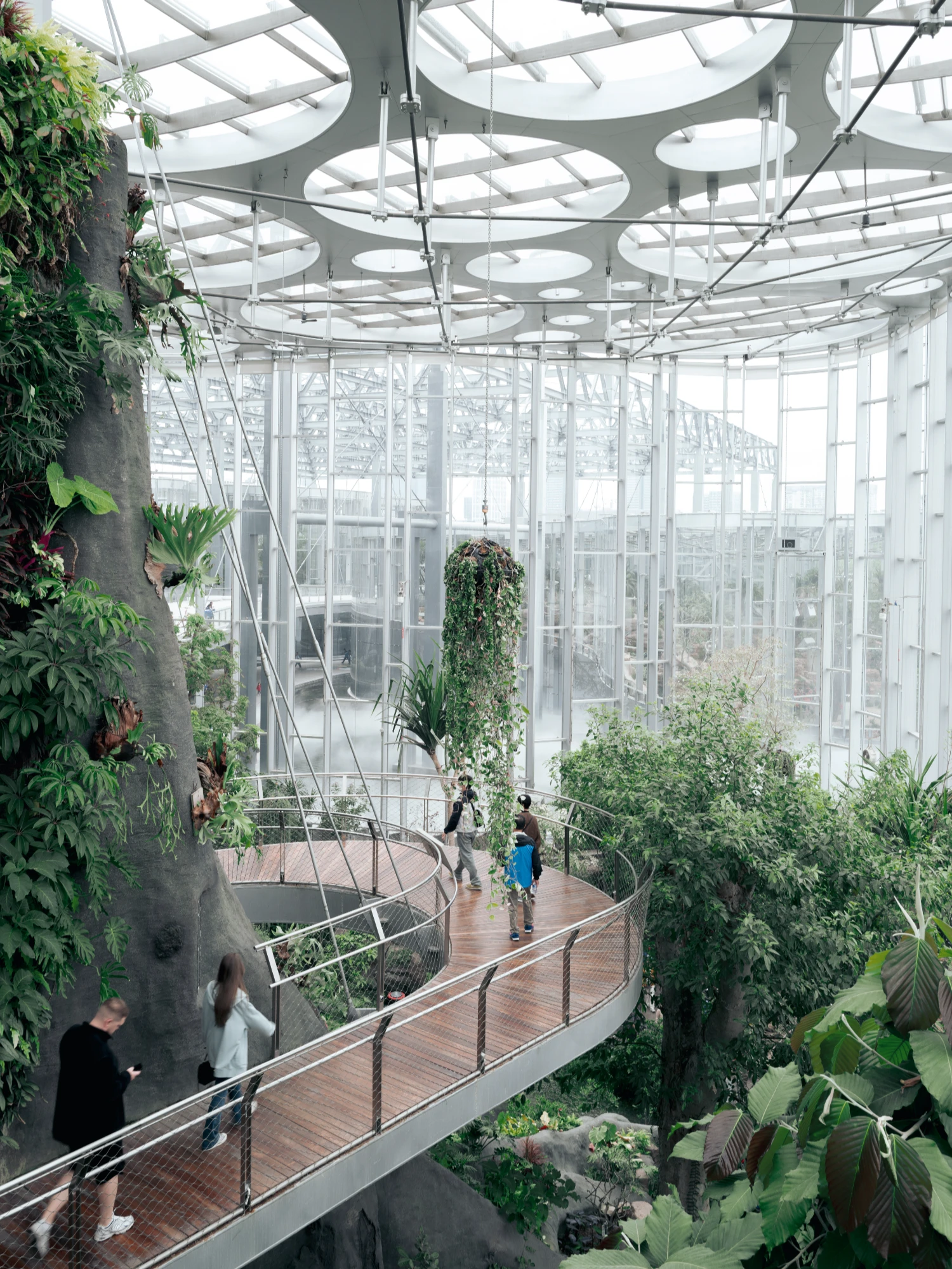 Expo Cultural Park Greenhouse Garden by Delugan Meissl captured by Marcus Yau — Overhead view of a spiraling timber walkway threading through dense vertical planting within a steel-framed greenhouse.