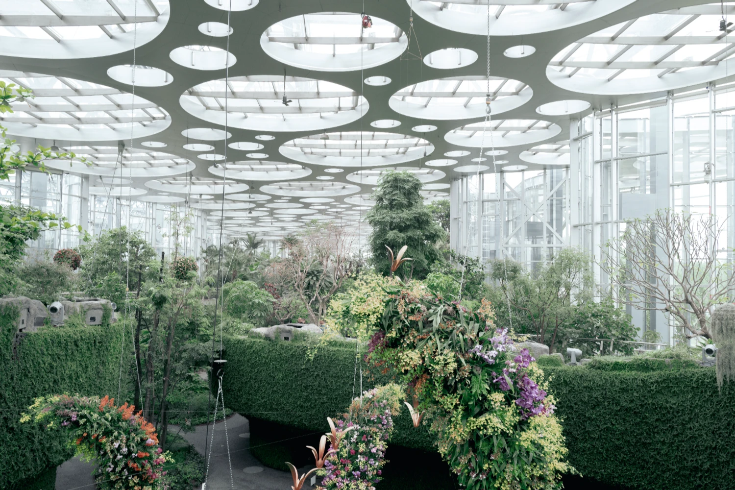 Expo Cultural Park Greenhouse Garden by Delugan Meissl captured by Marcus Yau — A comprehensive interior view of the greenhouse reveals the architectural system governing plant cultivation within Pudong's transformed industrial landscape.