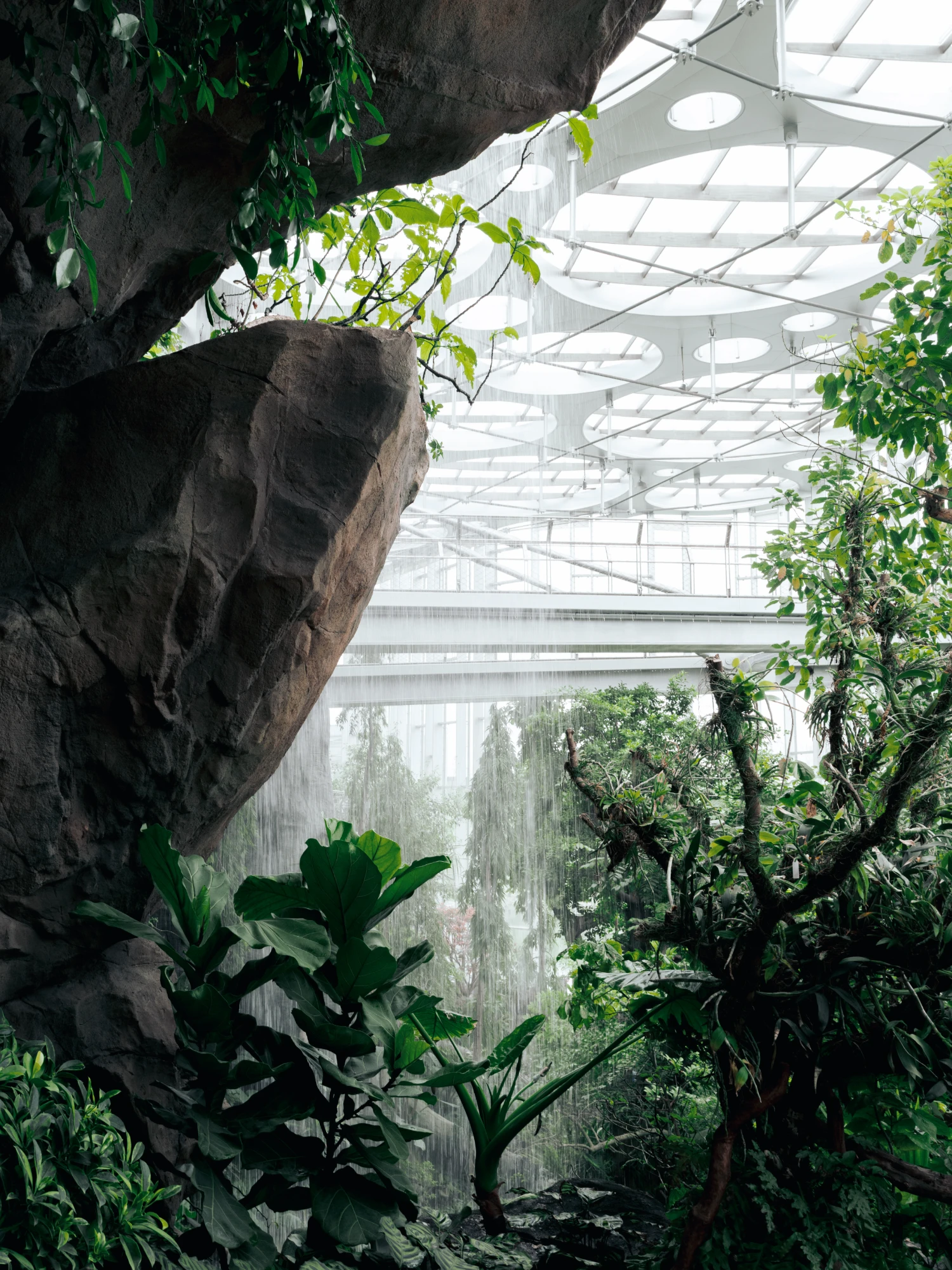 Expo Cultural Park Greenhouse Garden by Delugan Meissl captured by Marcus Yau — A view through the greenhouse interior frames a massive textured boulder colonized by trailing vines, its dark surface casting shadows across adjacent...