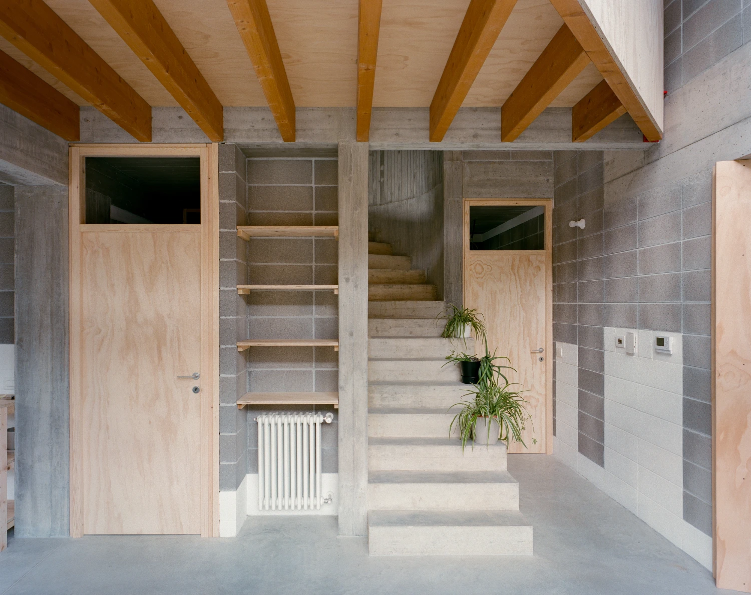Casa BM by ErranteArchitetture — The interior reveals a post-and-beam structural system with exposed timber beams and concrete soffit, creating a rhythmic ceiling plane.