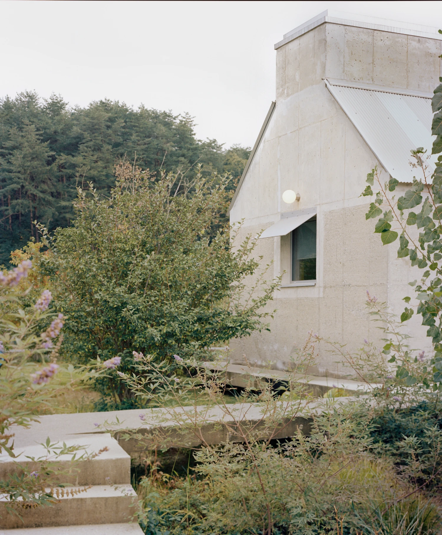Hoji Gangneung Houses by AOA Architects captured by Danny Kai — A rendered concrete pavilion rises from overgrown vegetation, its faceted roof plane creating sharp geometric ridges against the forest backdrop.
