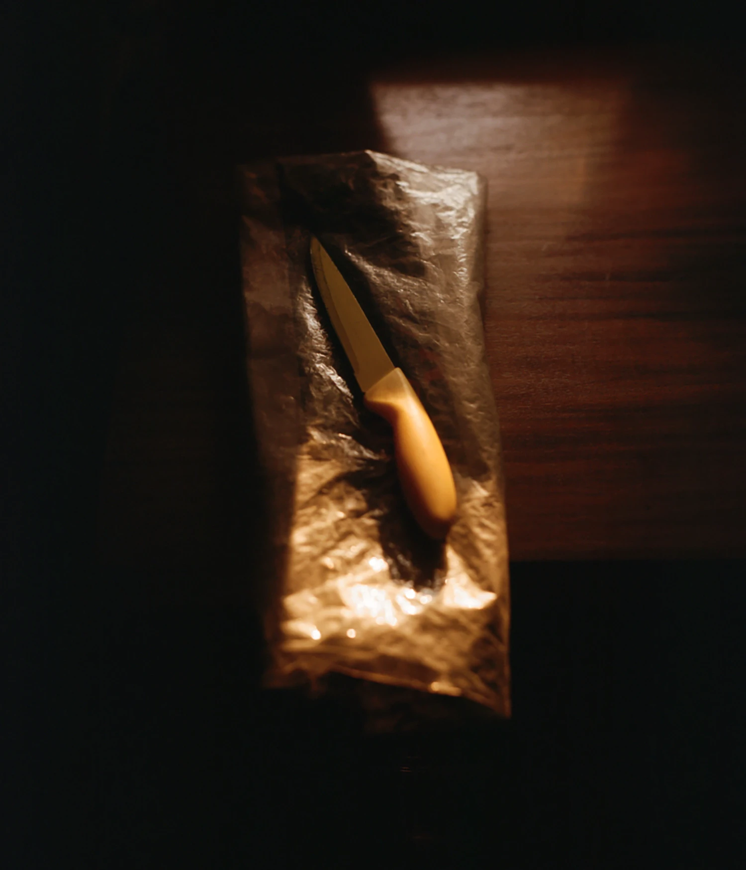 They Still Owe Him a Boat by Jono Terry — A carving knife with wooden handle rests against crumpled kraft paper and white cloth within a narrow vertical frame.