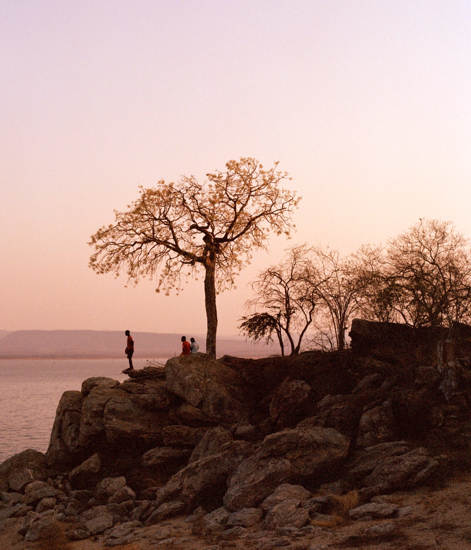 They Still Owe Him a Boat by Jono Terry — A rocky shoreline at dusk frames three figures gathered beneath a bare tree with delicate branching silhouetted against a pale pink sky.