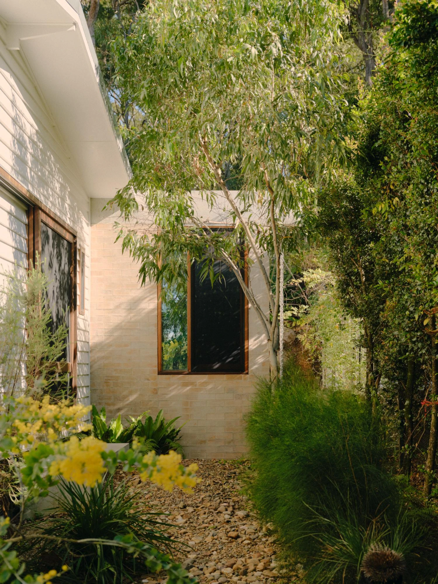 Stuartholme House by Nielsen Jenkins + Michael Lumby — A narrow passageway channels movement through the landscaped gully, with a brick wall on the left and dense vegetation pressing in from both sides.