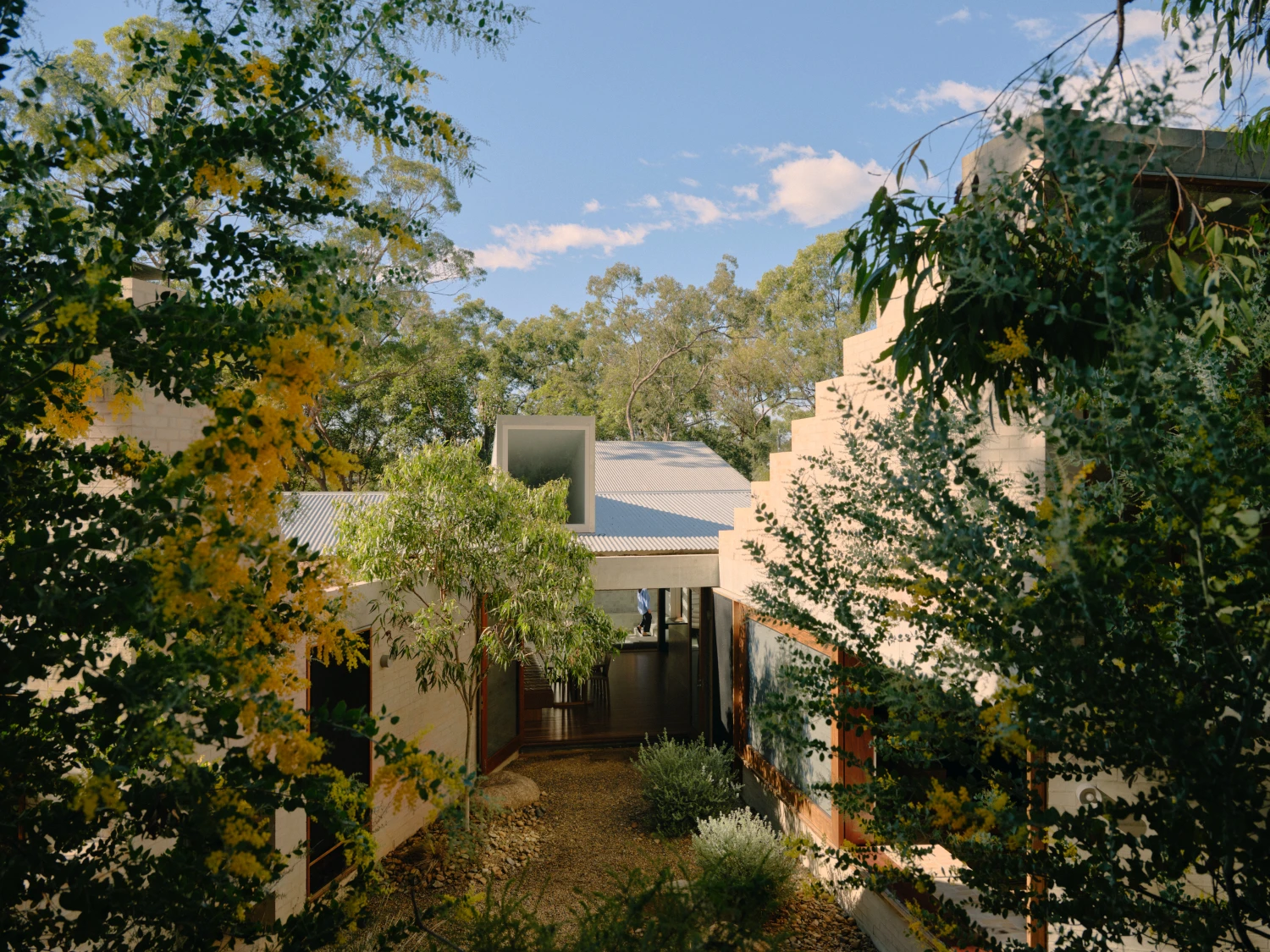Stuartholme House by Nielsen Jenkins + Michael Lumby — Viewed through layered vegetation, the rendered brick pavilions reveal their restrained insertion into Brisbane bushland.