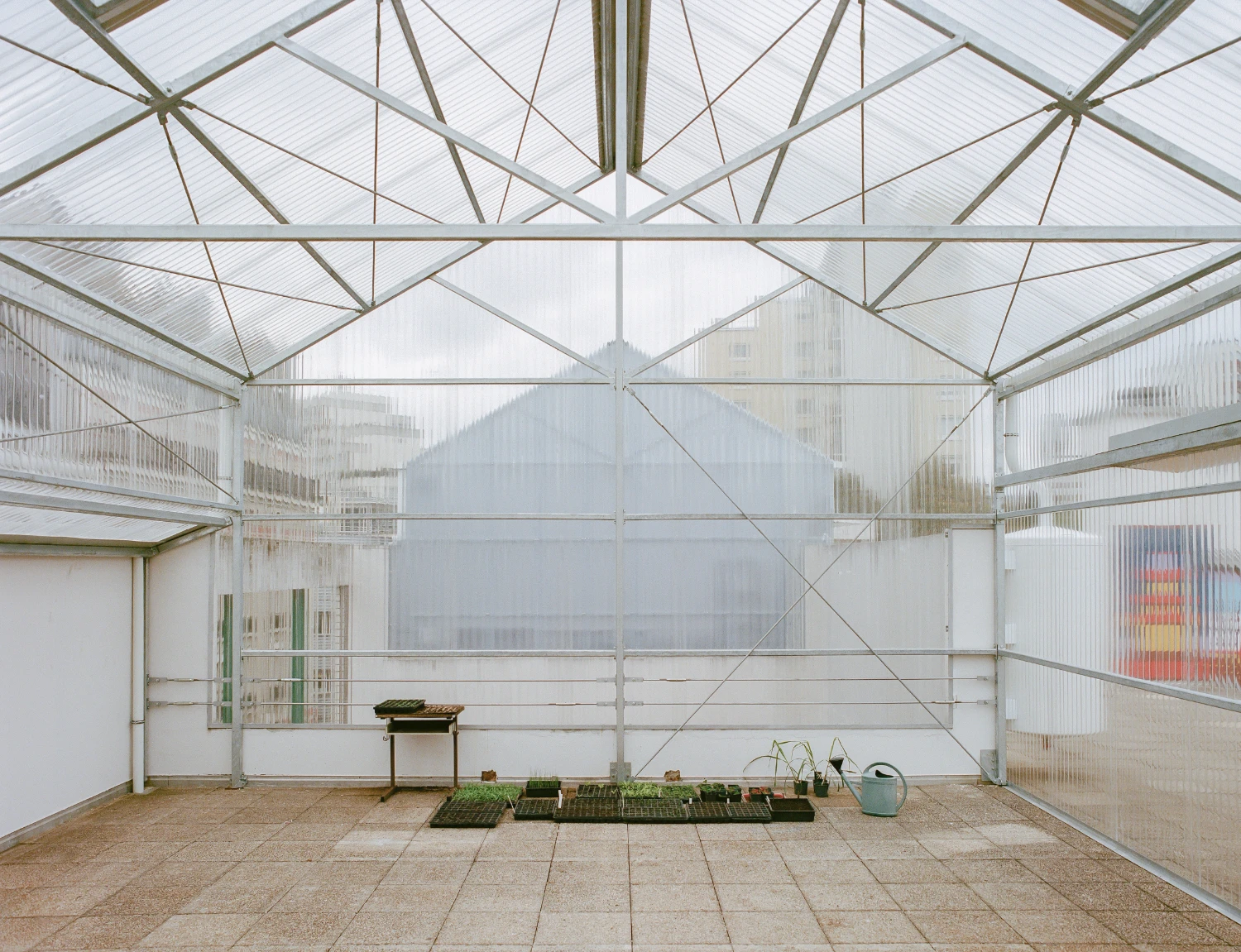 Rooftop Educational Farm by rerum architectes — Interior view of a pedagogical greenhouse on a Paris rooftop, where a triangulated steel frame with diagonal bracing establishes a rhythmic overhead geometry.