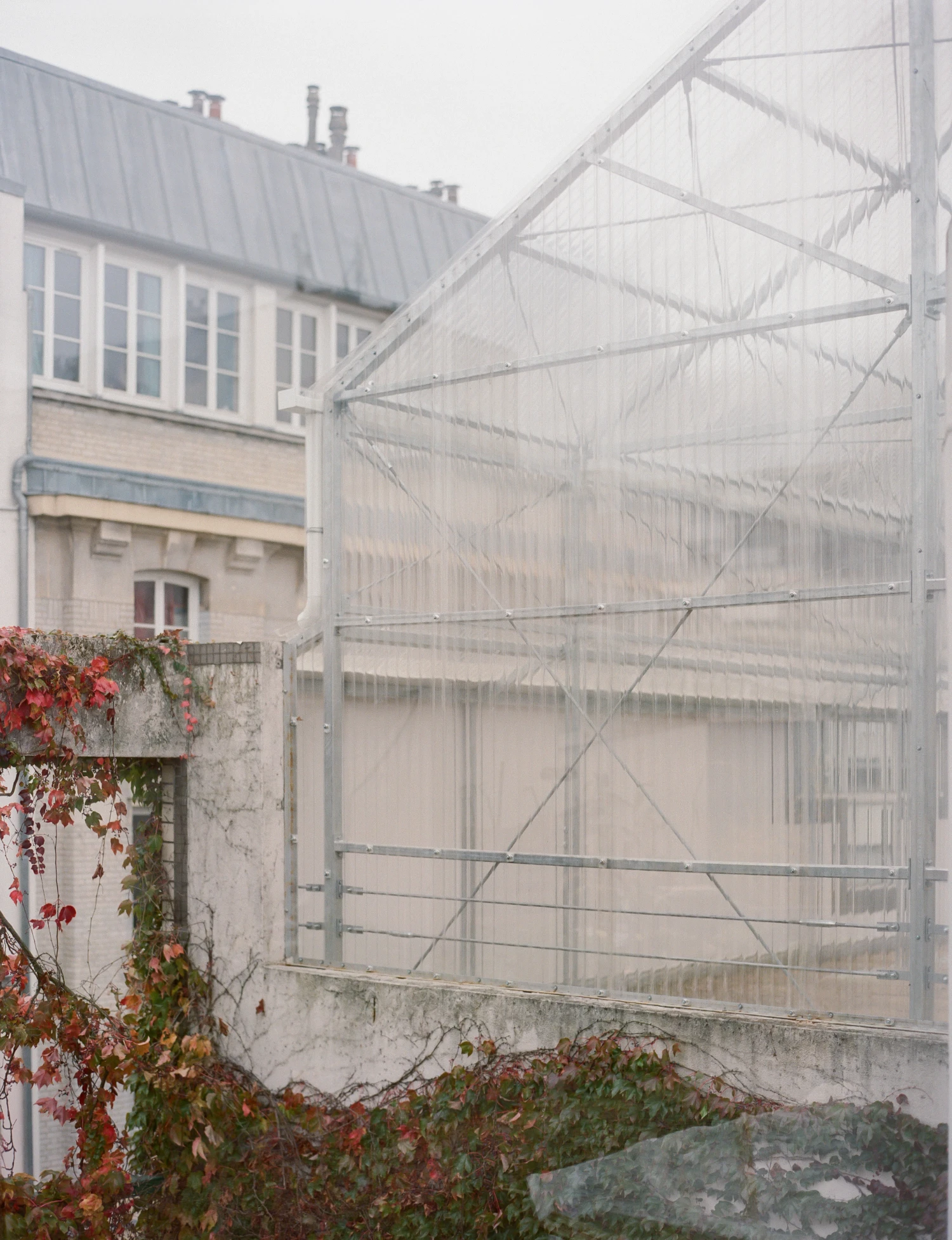 Rooftop Educational Farm by rerum architectes — A polycarbonate greenhouse structure adjoins a cream-rendered masonry building with metal-framed windows under a standing-seam metal roof.