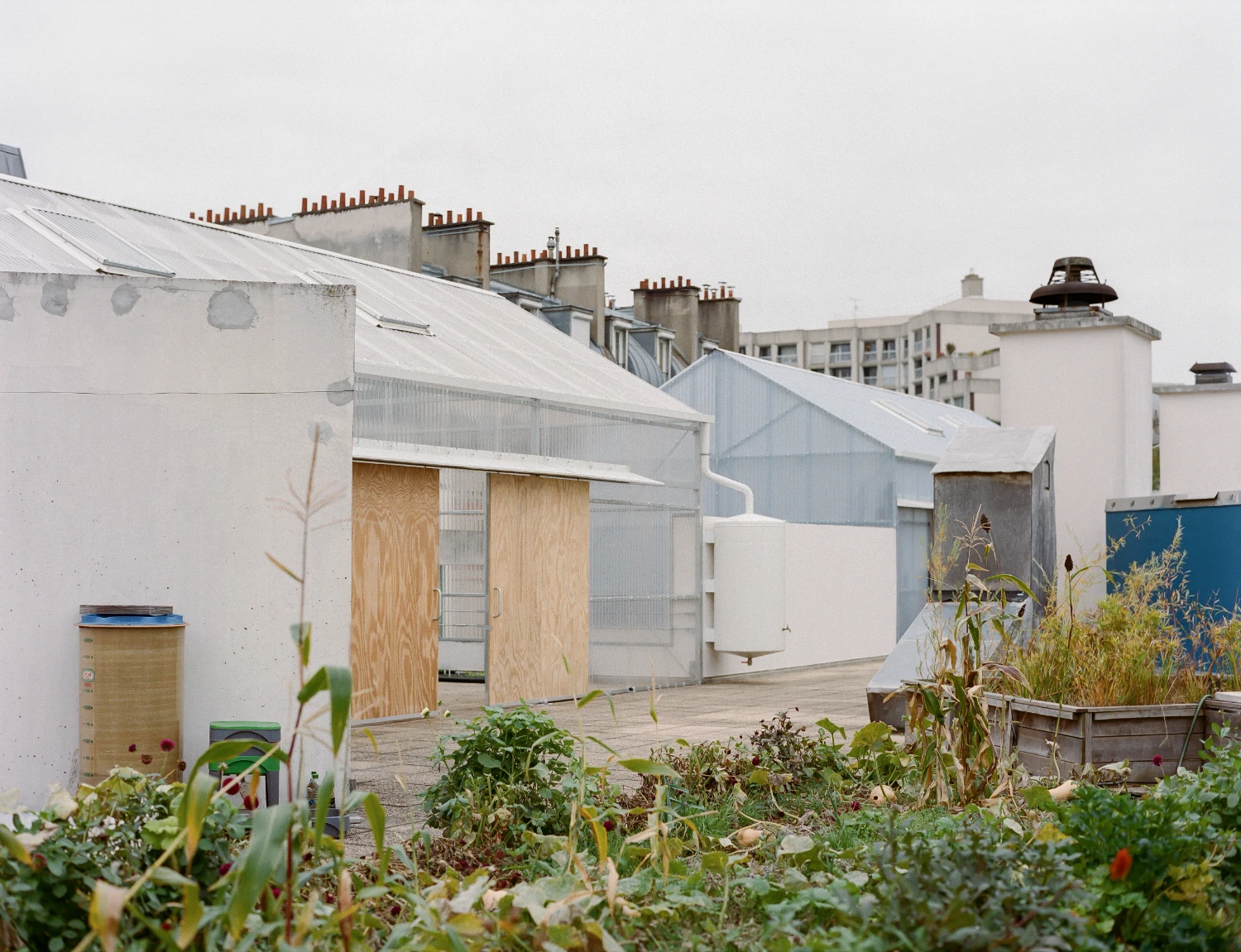 Rooftop Educational Farm by rerum architectes — Rooftop cultivation in progress: wooden planting beds and polycarbonate-clad structures occupy a Paris rooftop, their pitched and gabled forms arranged...