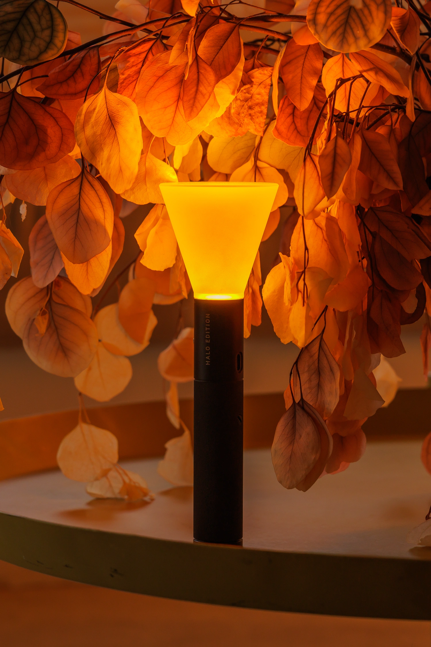 Halo Mag (Flame + Bloom) designed by Mandalaki — Halo Mag's Flame + Bloom edition stages a portable light source as a sculptural intervention.