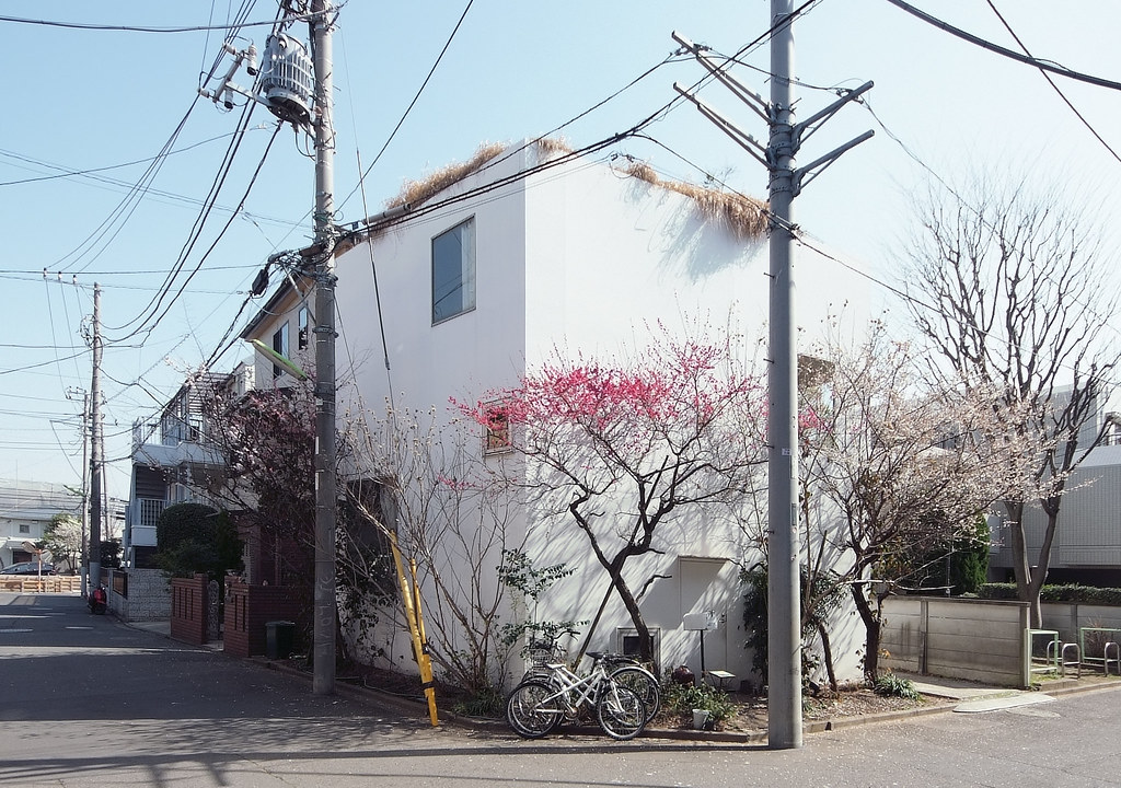 House in a Plum Grove by Kazuyo Sejima by Kazuyo Sejima & Associates — Kazuyo Sejima's 2003 corner house in Tokyo's Setagaya district appears as a vertical white rendered prism compressed between neighboring structures.