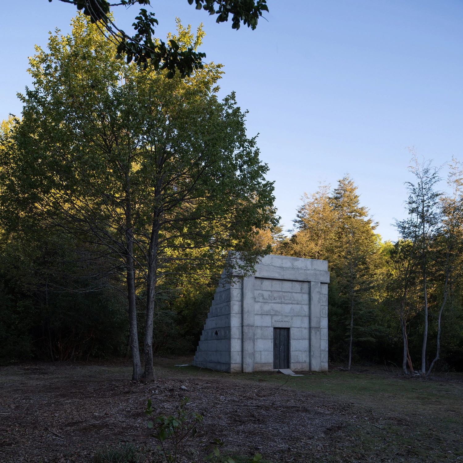 MIEL Pavilion by Pezo von Ellrichshausen — The MIEL Pavilion emerges from a clearing at the forest edge, its monolithic concrete form framed by tall Coihue trees in autumn transition.