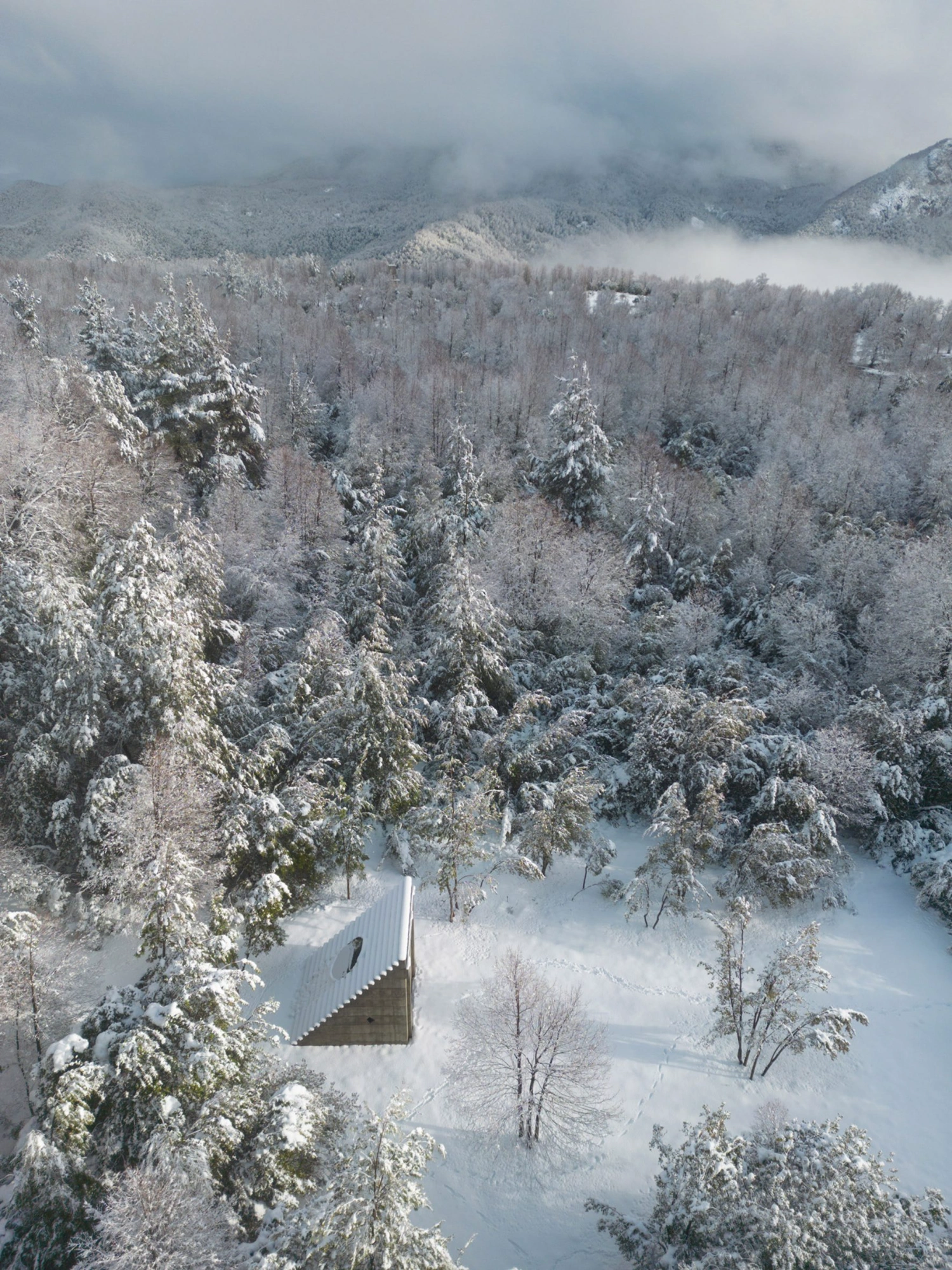 MIEL Pavilion by Pezo von Ellrichshausen — Aerial view of the MIEL Pavilion nestled within a dense coniferous forest blanketed in fresh snow.