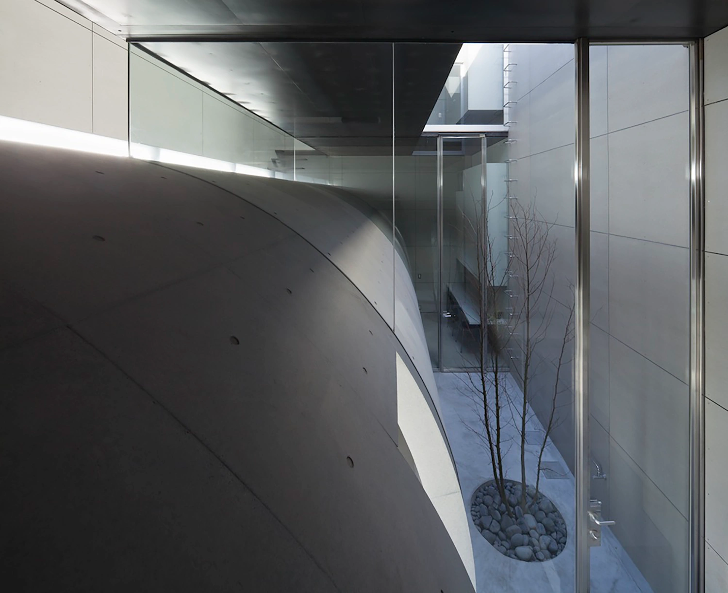 Tunnel House by Makiko Tsukada Architects — A narrow courtyard view framed through floor-to-ceiling glazing reveals the quarter-cylinder void that defines Tunnel House's street-facing gesture.