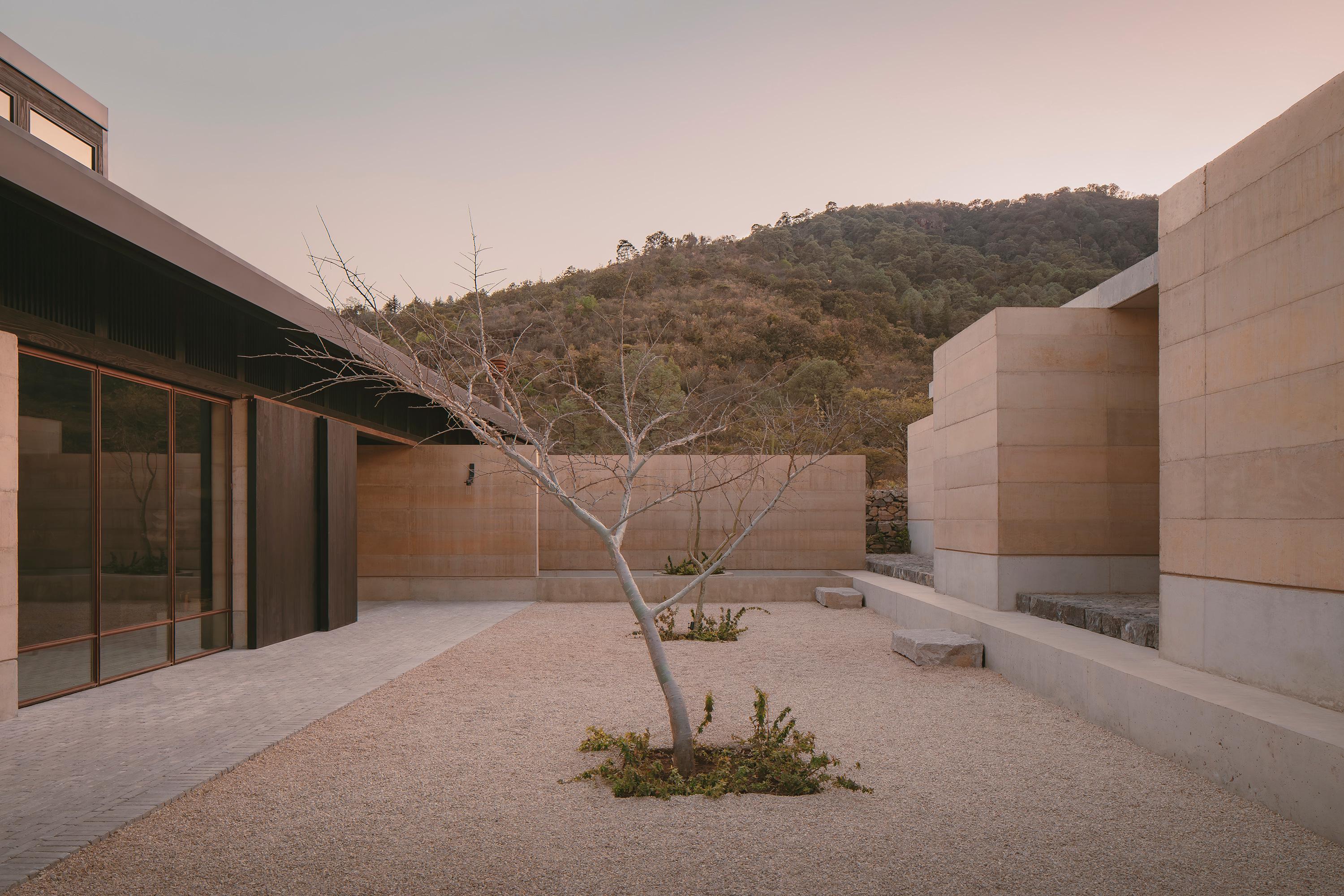 Casa el Espino by Soler Orozco Arquitectos — A single-story courtyard anchored by a gnarled, leafless tree rooted in gravel.