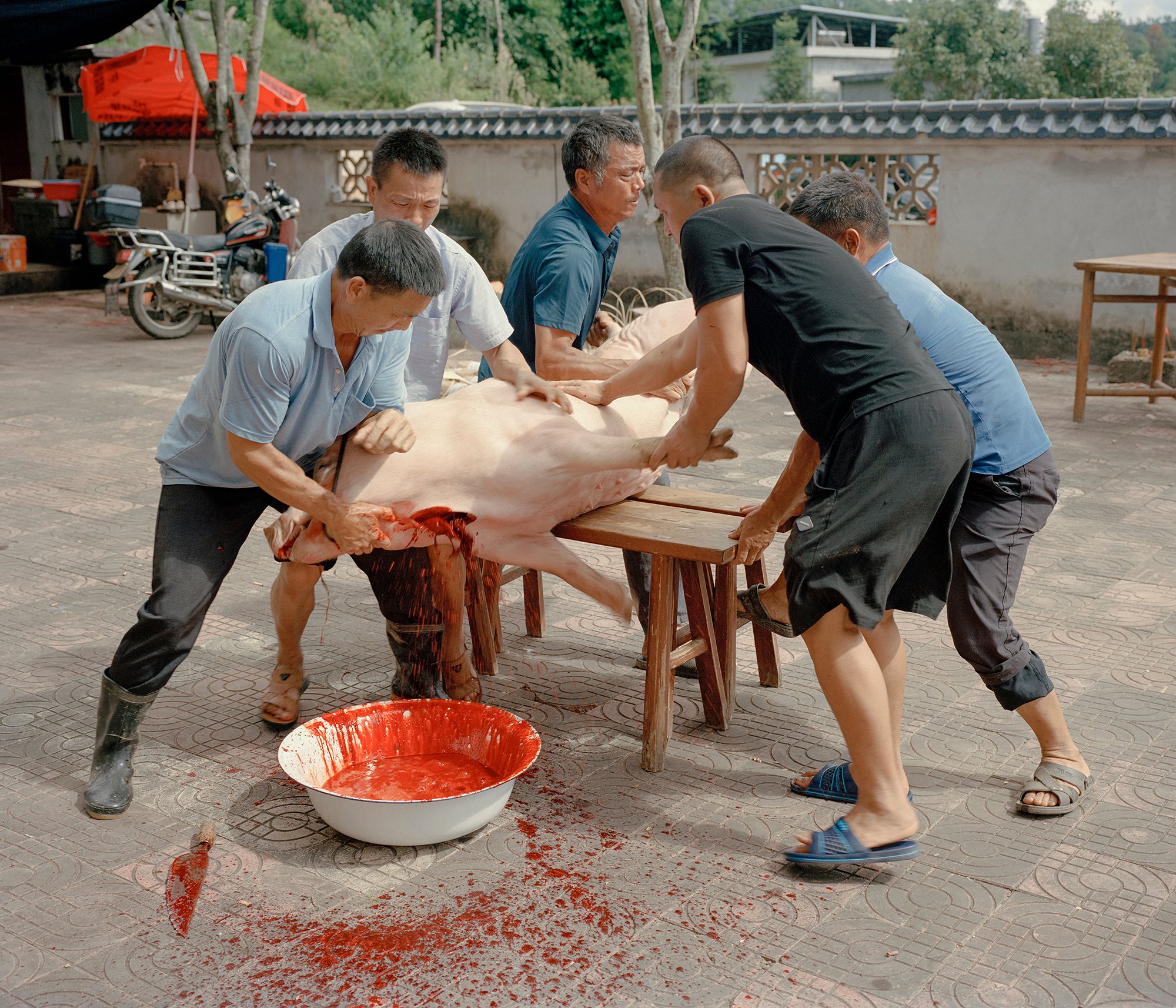 The Internal Crusade by Zexuan Zeng — Five men process a freshly slaughtered pig across a brick courtyard, its pale carcass suspended between wooden benches.