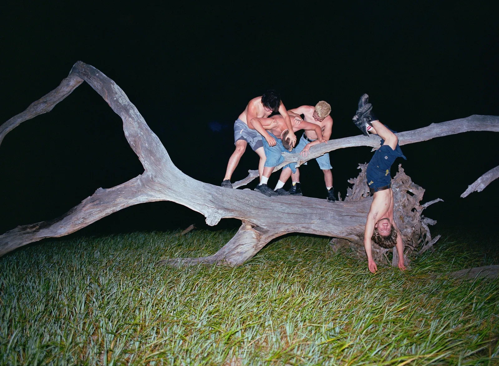 Florida Boys by Josh Aronson — Four shirtless figures interact across a weathered, gnarled timber branch positioned horizontally across scrubland.