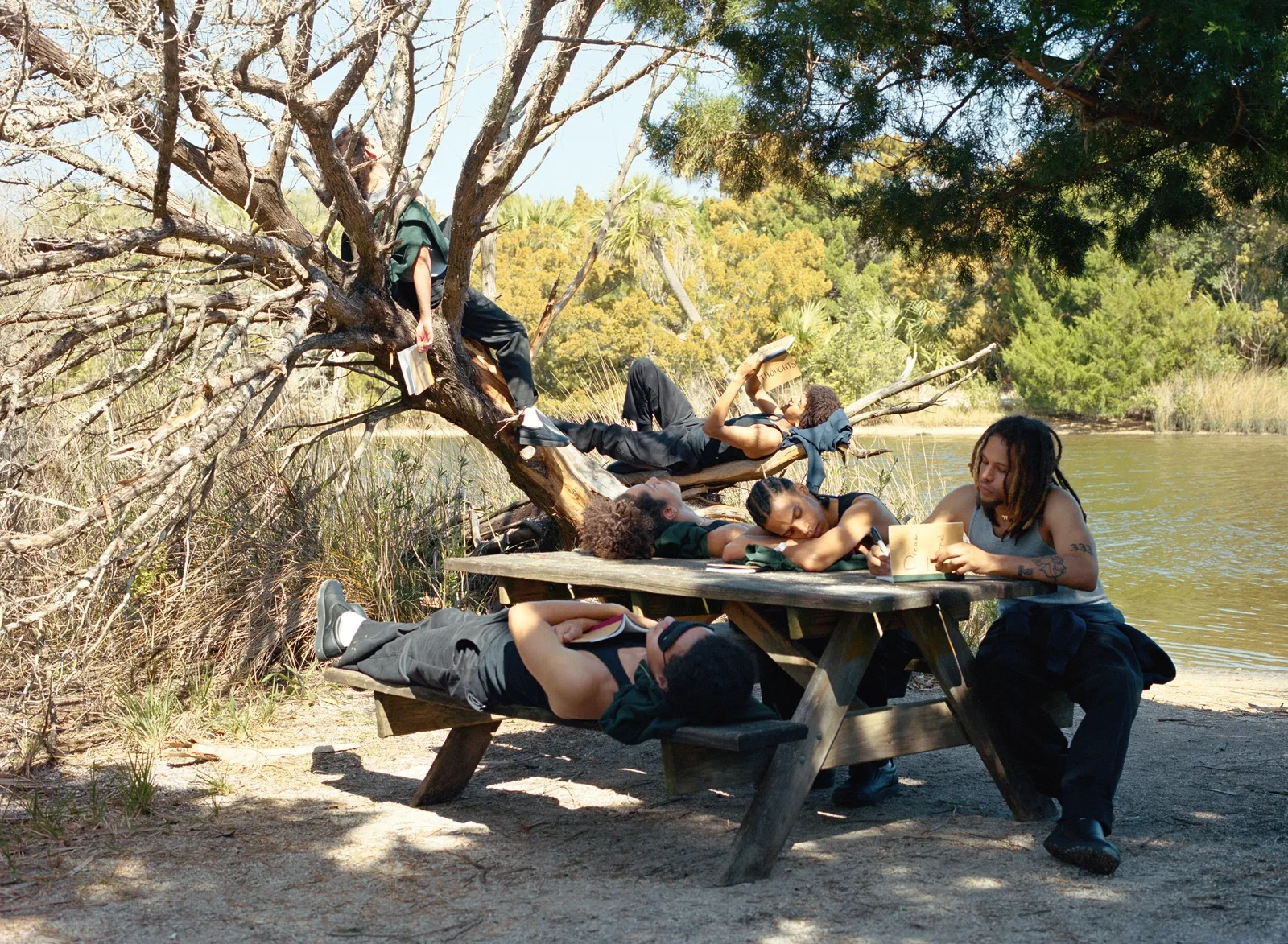 Florida Boys by Josh Aronson — Multiple figures occupy a weathered picnic table positioned beneath a gnarled, sprawling tree at the water's edge.