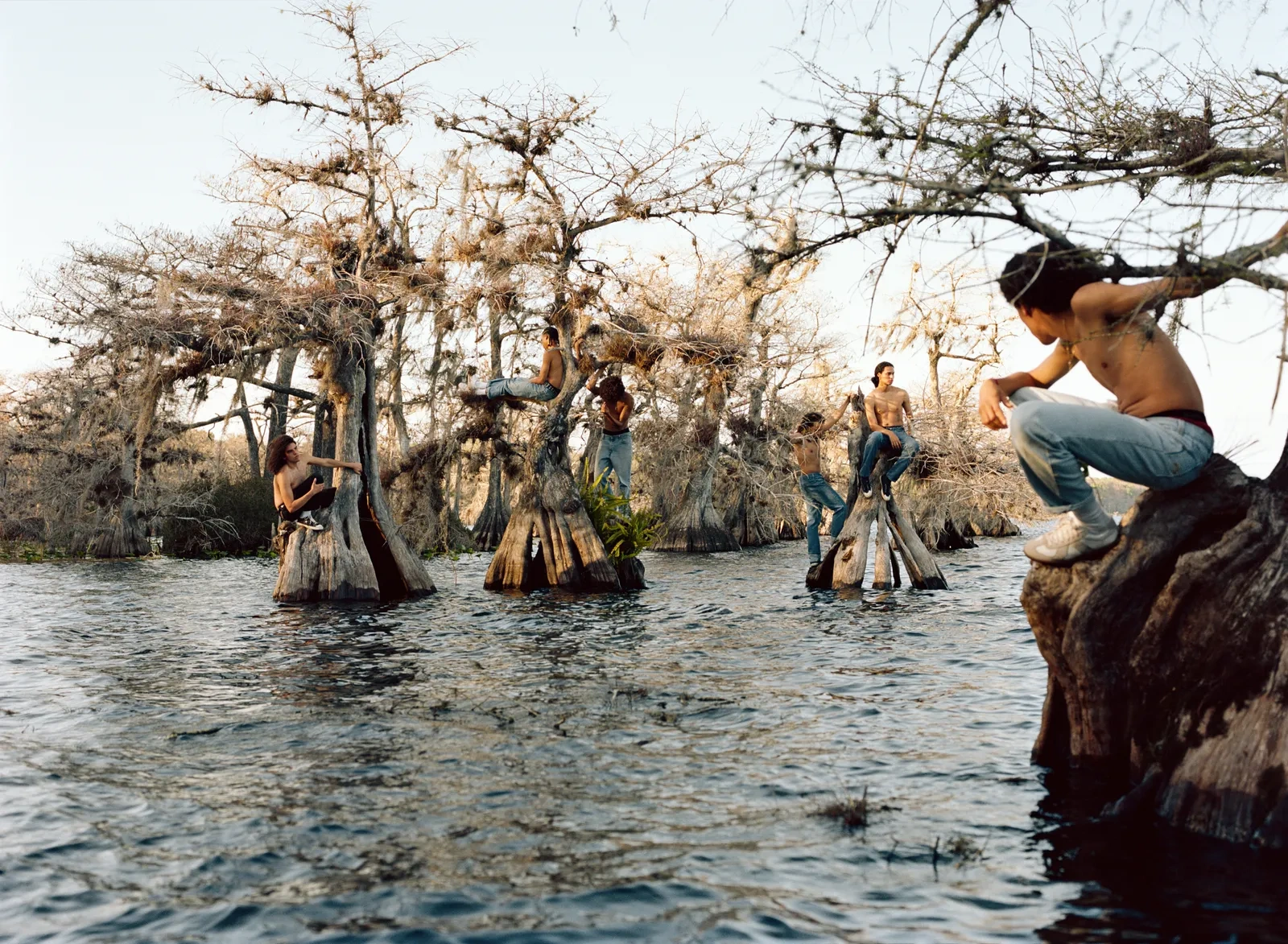 Florida Boys by Josh Aronson — A shirtless youth suspends himself mid-swing from a gnarled cypress branch, body weight distributed through tensed arms as his torso arcs above the water's...