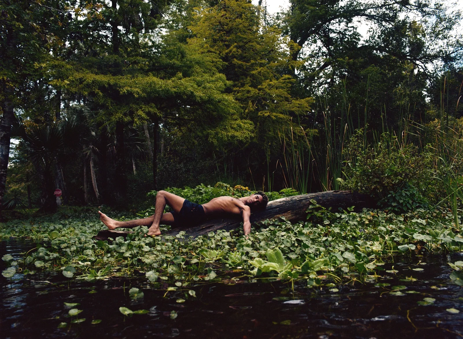 Florida Boys by Josh Aronson — A shirtless figure reclines on a weathered log suspended above shallow water dense with lily pads and aquatic vegetation.