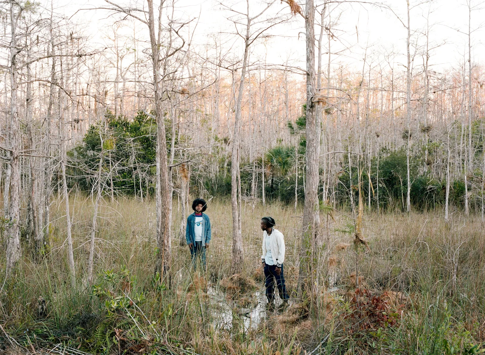 Florida Boys by Josh Aronson — Two figures navigate a cypress swamp forest in daylight, their bodies positioned at different heights within the frame.