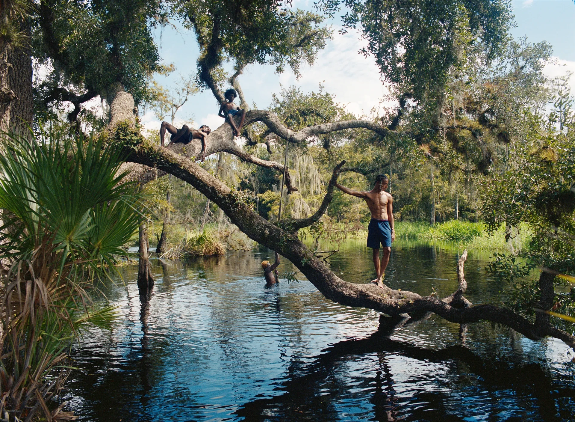 Florida Boys by Josh Aronson — A figure suspended mid-swing from a gnarled oak branch demonstrates bodily control and weightlessness against the dense Florida landscape.