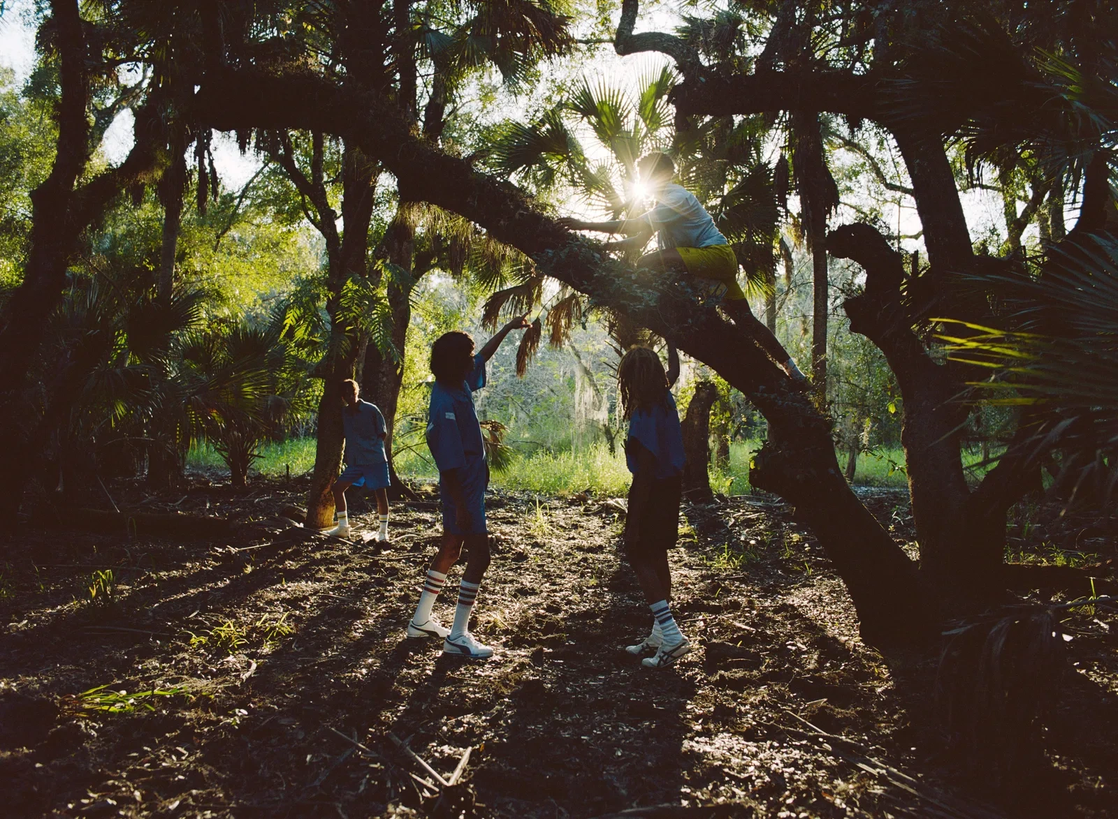 Florida Boys by Josh Aronson — Four figures navigate a dense pine forest floor, their bodies arranged in a vertical stack of action and stillness.