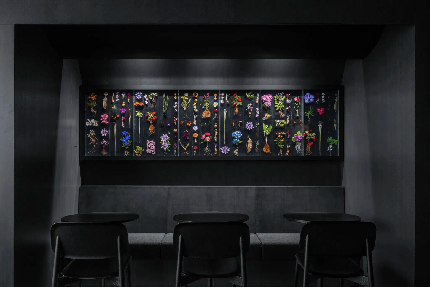 Burnside by Snøhetta — A backlit display panel dominates the dining alcove, arranged with pressed botanical specimens organized in vertical sections against a dark background.
