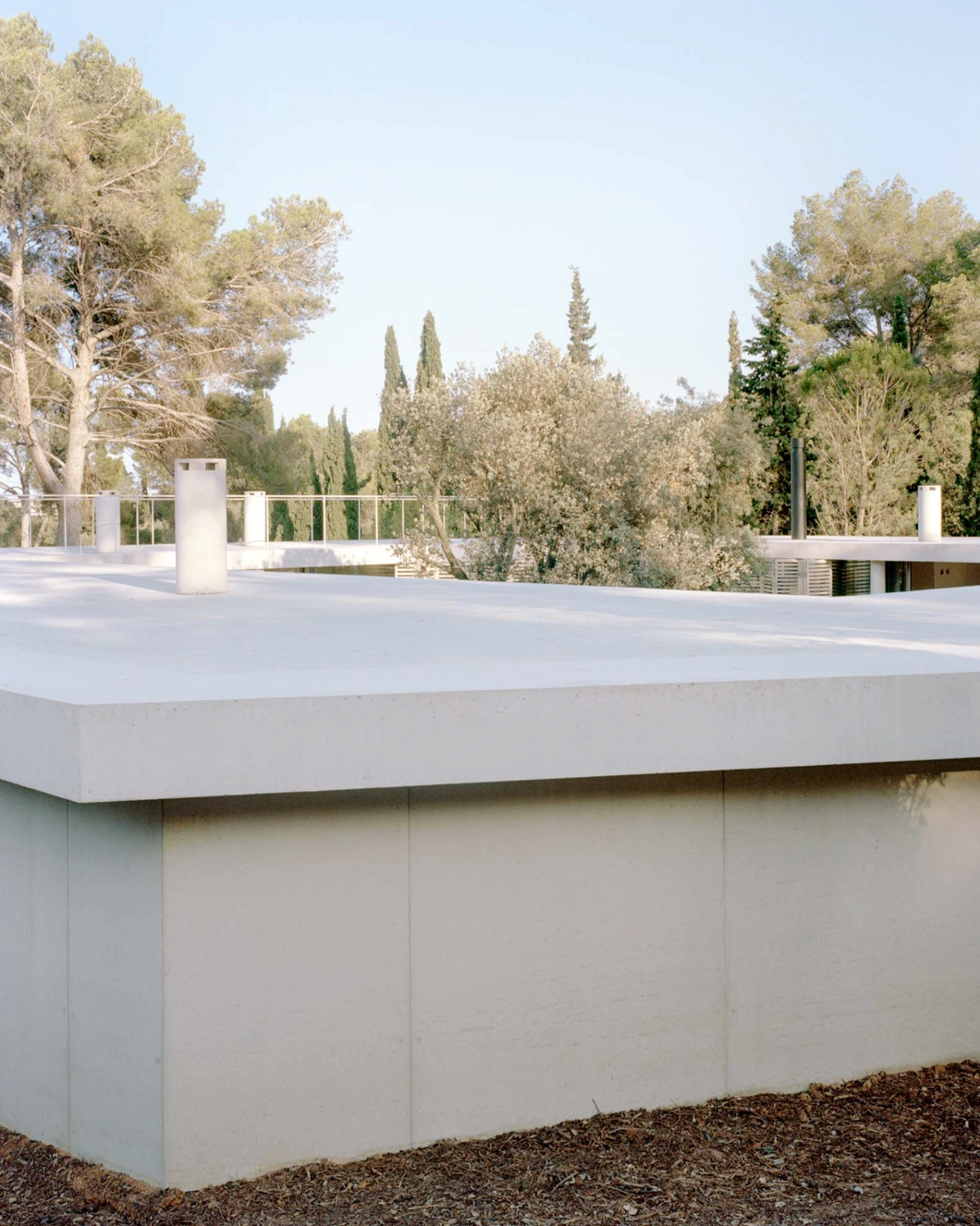 Patio House by Arquitectura-G — A modernist courtyard pavilion anchored by twenty slender white concrete columns supporting a thin planar roof cantilevered over a geometric reflecting pool.