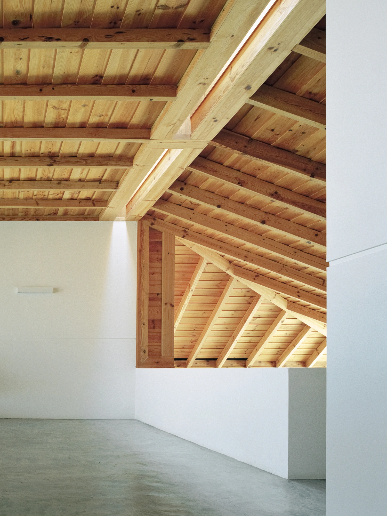 Herdade da Cardeira Winery by EMBAIXADA by EMBAIXADA arquitectura — An interior volume defined by white render walls and exposed timber roof structure.