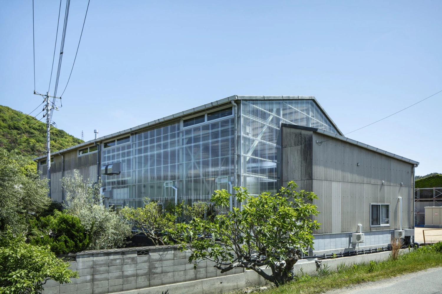 Teshima Factory Cafe by Schemata Architects — The translucent polycarbonate facade dominates the composition, its gridded corrugated surface casting sharp linear shadow patterns across the forecourt.