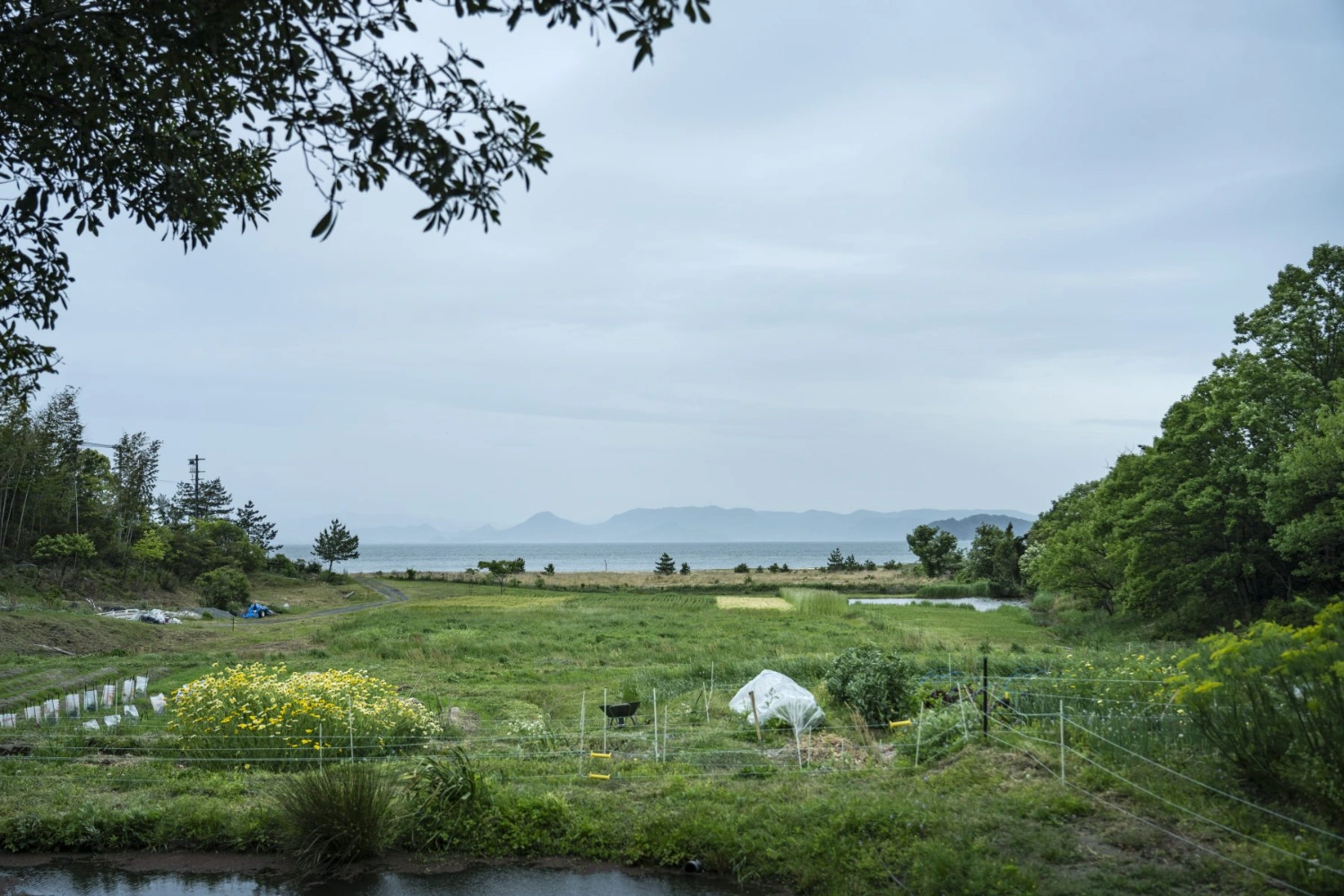 Teshima Factory Cafe by Schemata Architects — A working agricultural landscape frames the distant Seto Inland Sea, with vegetable plots organized by wire fencing in the foreground.