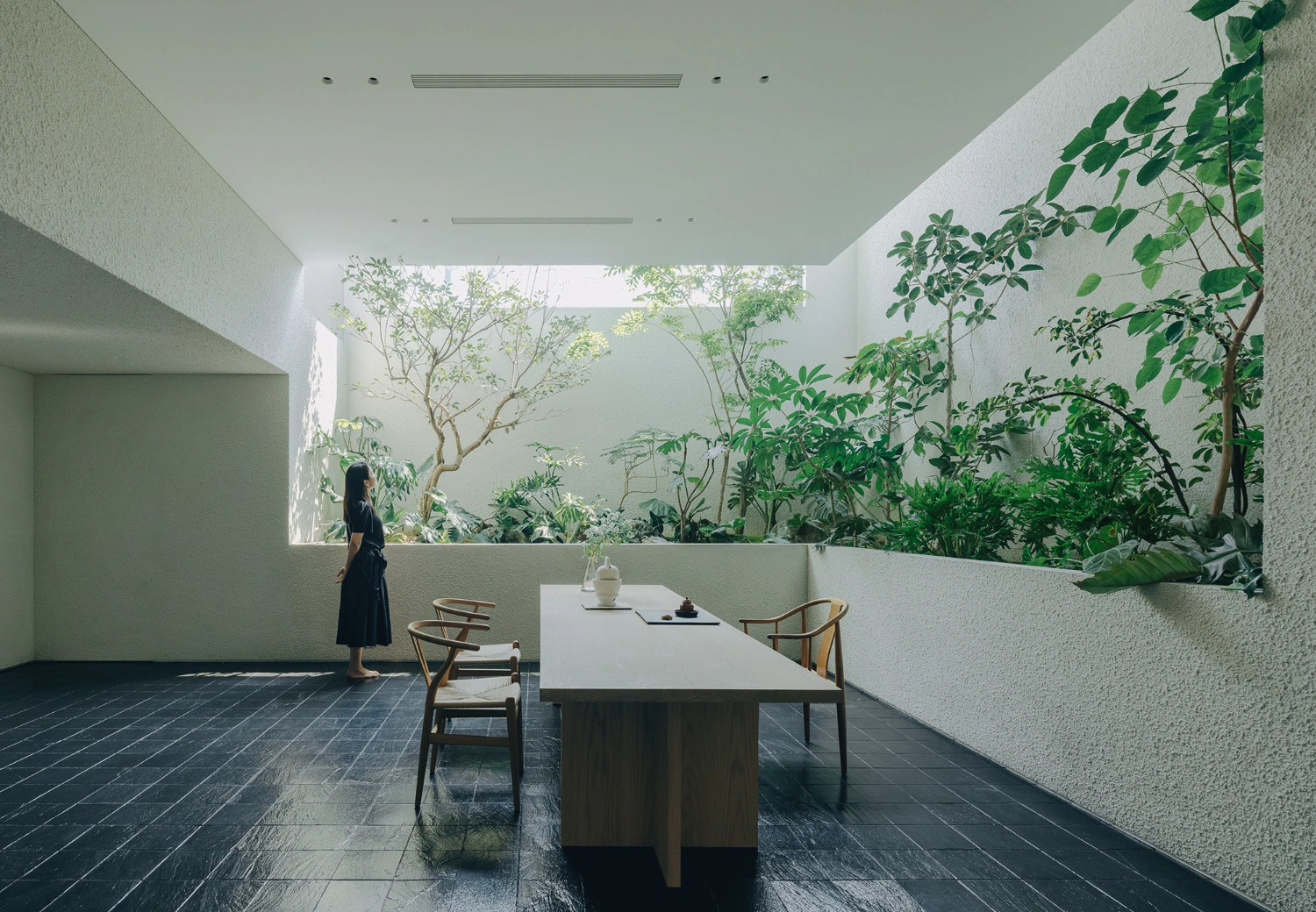 House J in Beijing by Atelier About Architecture — A sunlit interior courtyard frames a mature tree canopy through a large rectangular skylight opening.