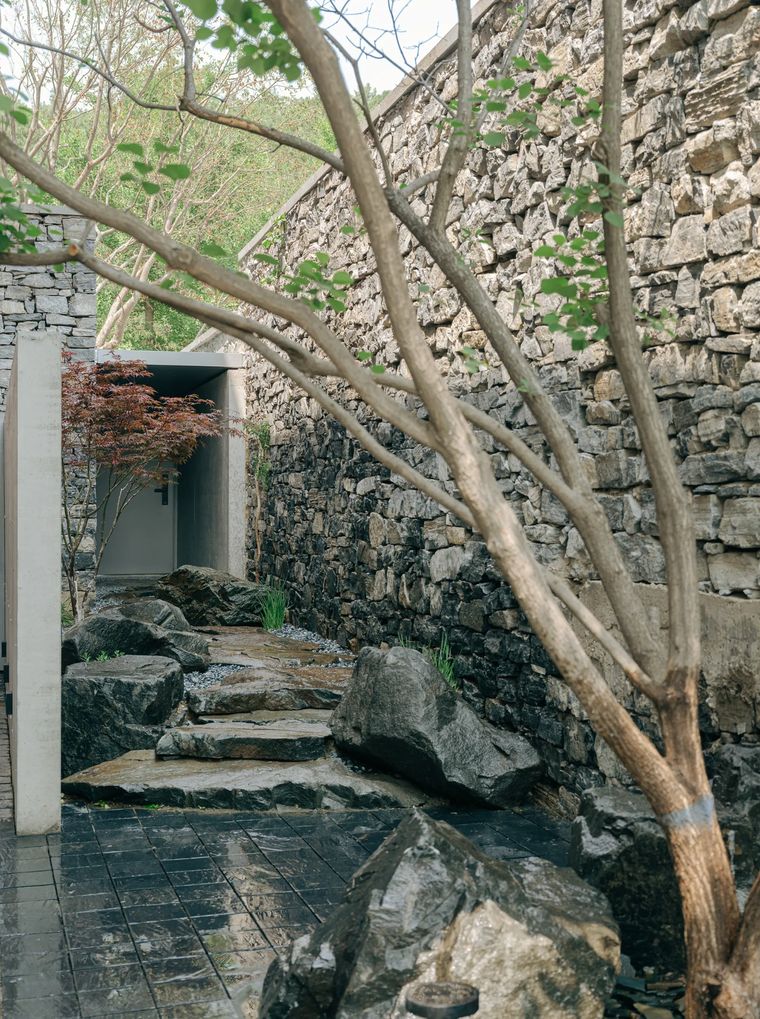 House J in Beijing by Atelier About Architecture — A narrow stone passage frames a bare tree trunk rising diagonally through the space, its pale timber contrasting against rendered walls and dark-tiled flooring.