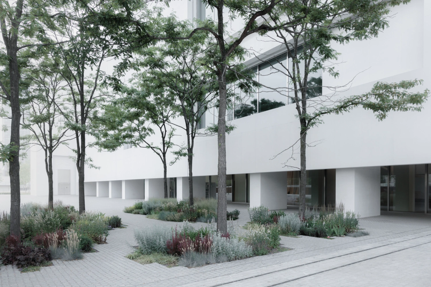 Museum of Modern Art in Warsaw by Thomas Phifer — The museum's ground-level courtyard integrates mature trees into a geometric landscape design.