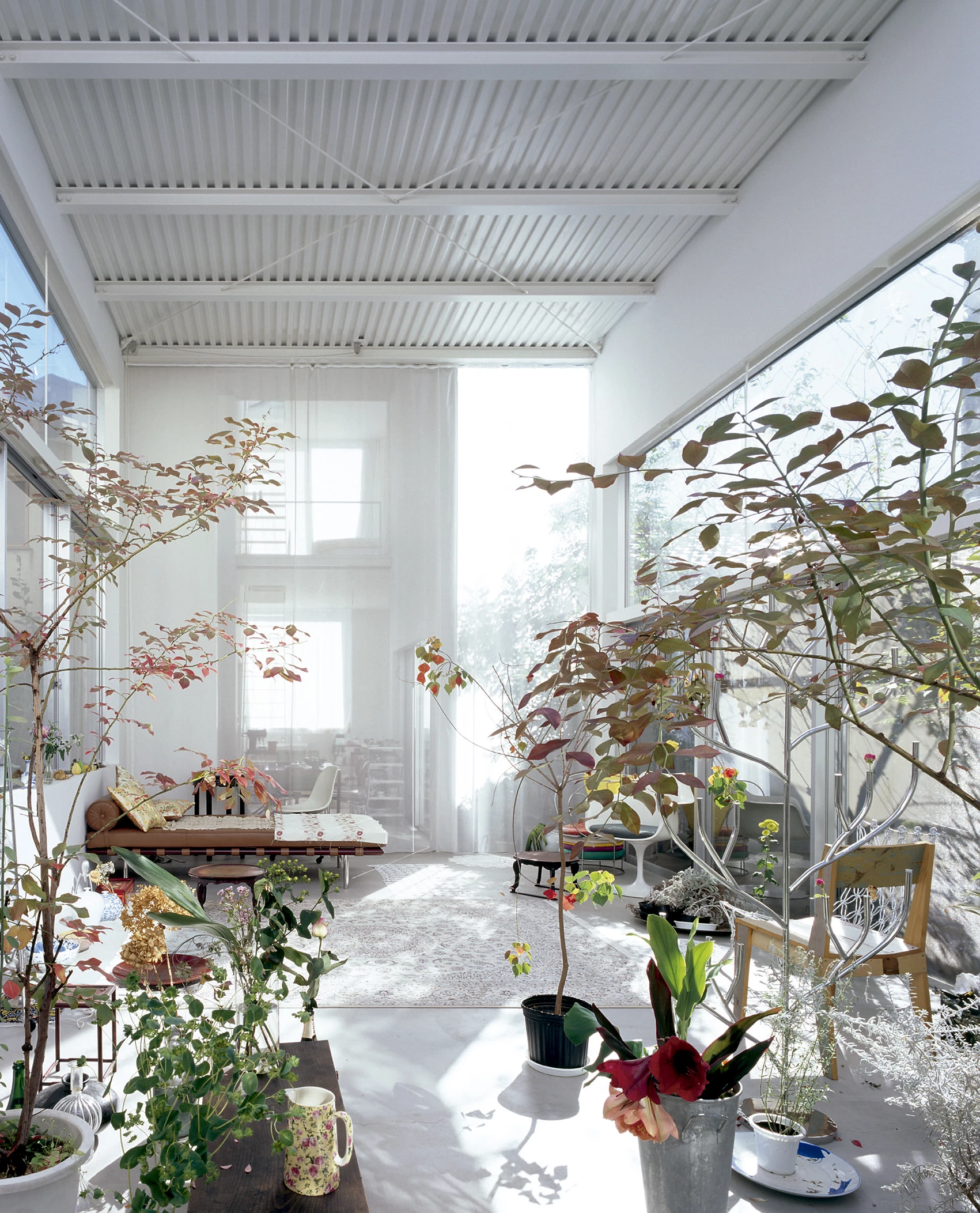 House A by Ryue Nishizawa — A glazed conservatory filled with potted plants in various stages of seasonal decline, their reddening foliage and sparse stems creating vertical rhythms...
