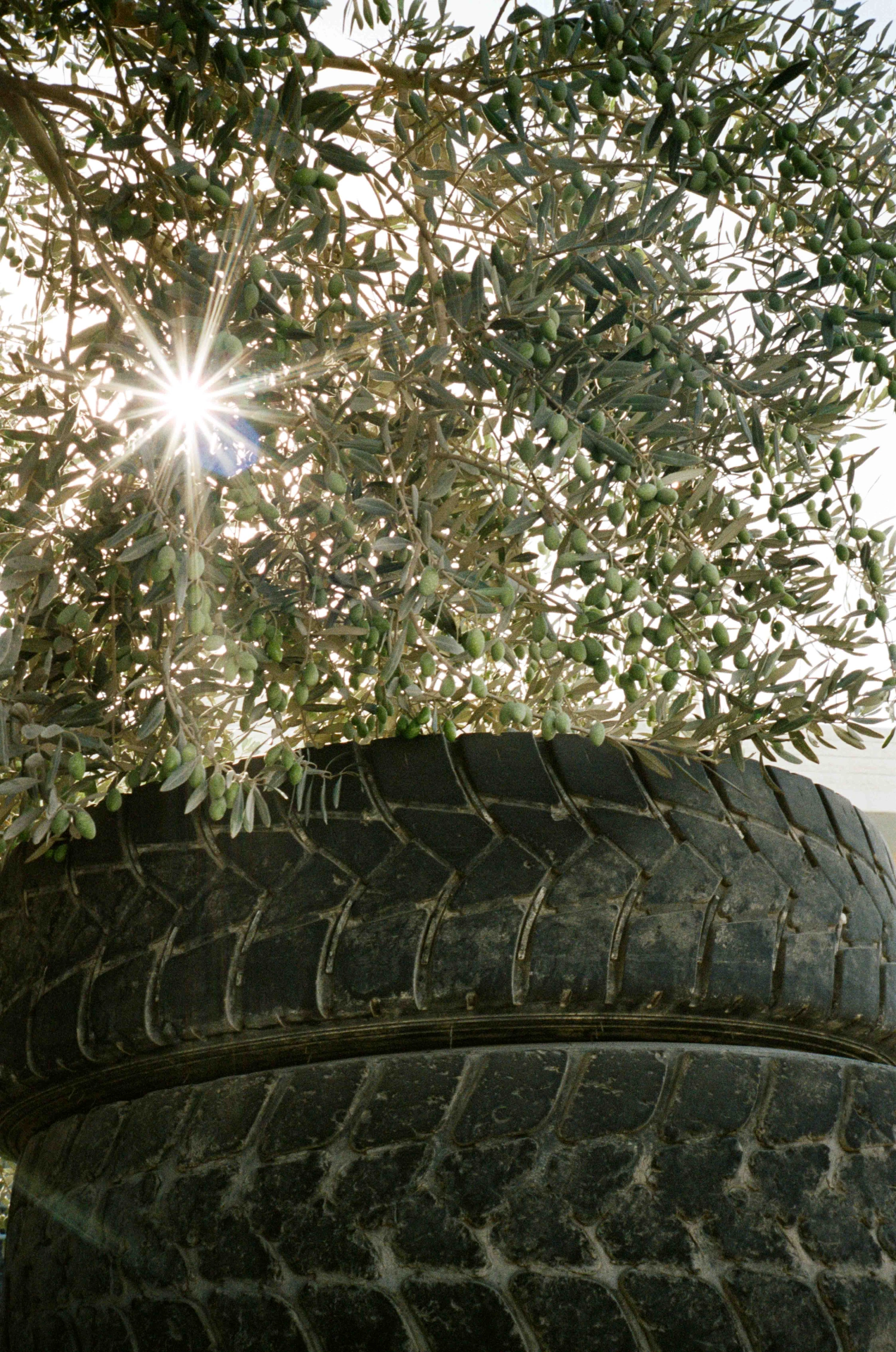 Before Freedom by Adam Rouhana — Upward perspective capturing weathered vehicle tires stacked horizontally, their treaded surfaces darkened by age and sediment accumulation.
