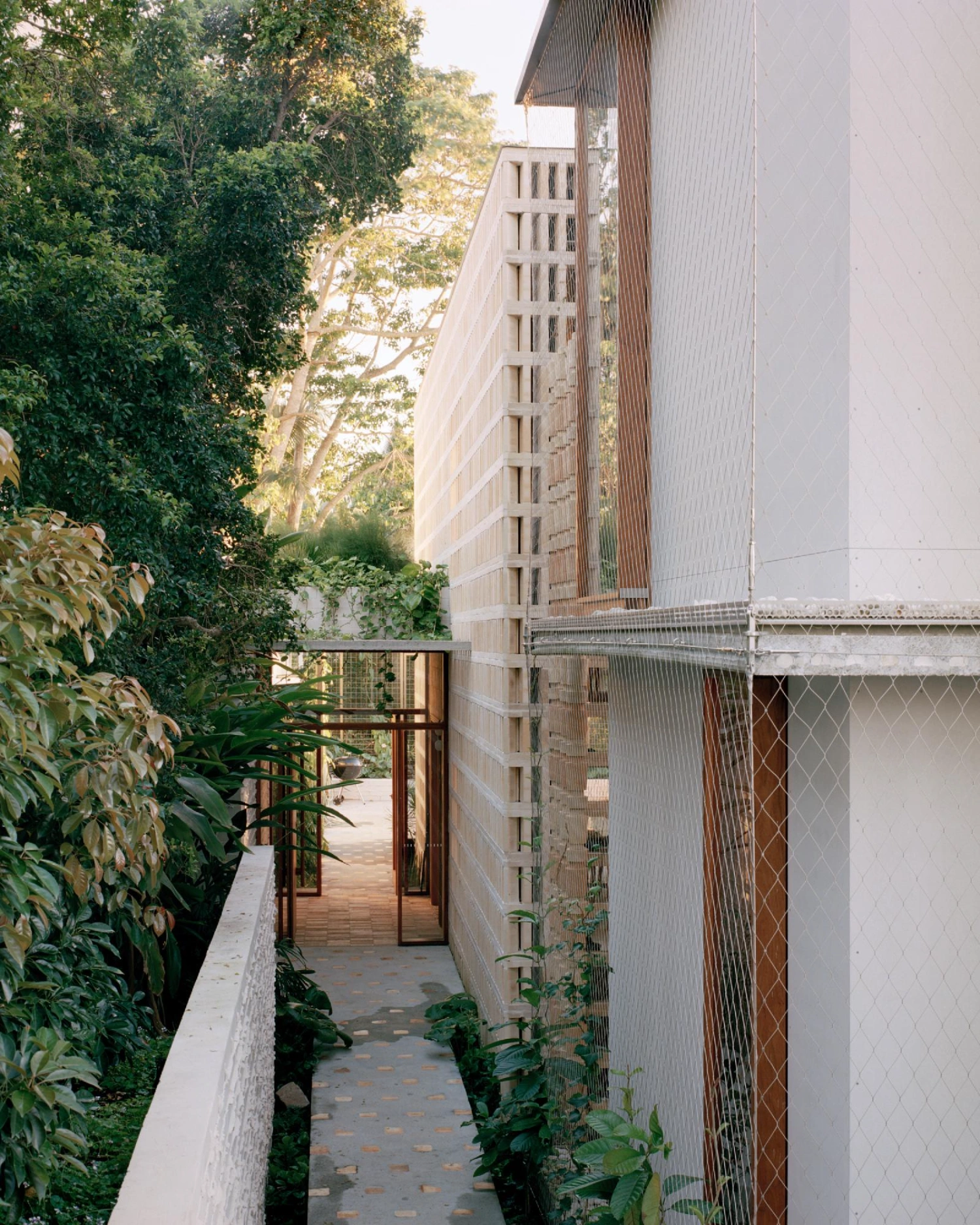 Birdwood House by Peter Besley — A narrow passage between vegetation and rendered masonry walls creates a compressed threshold leading to an open timber platform.